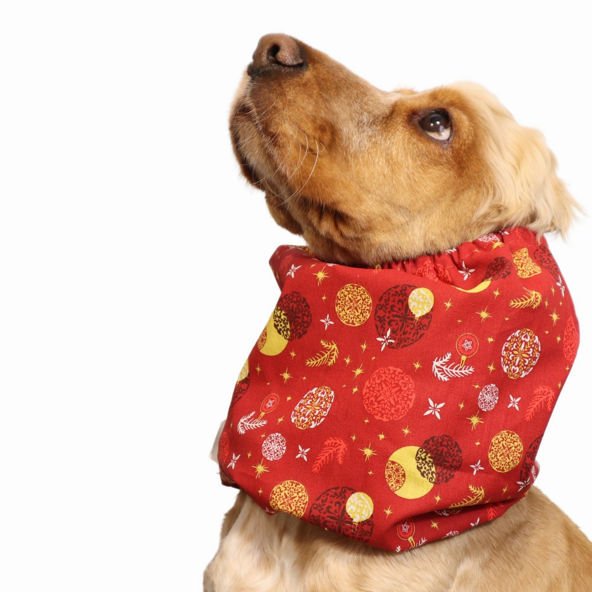 Cotton Dog Snood | Red Christmas