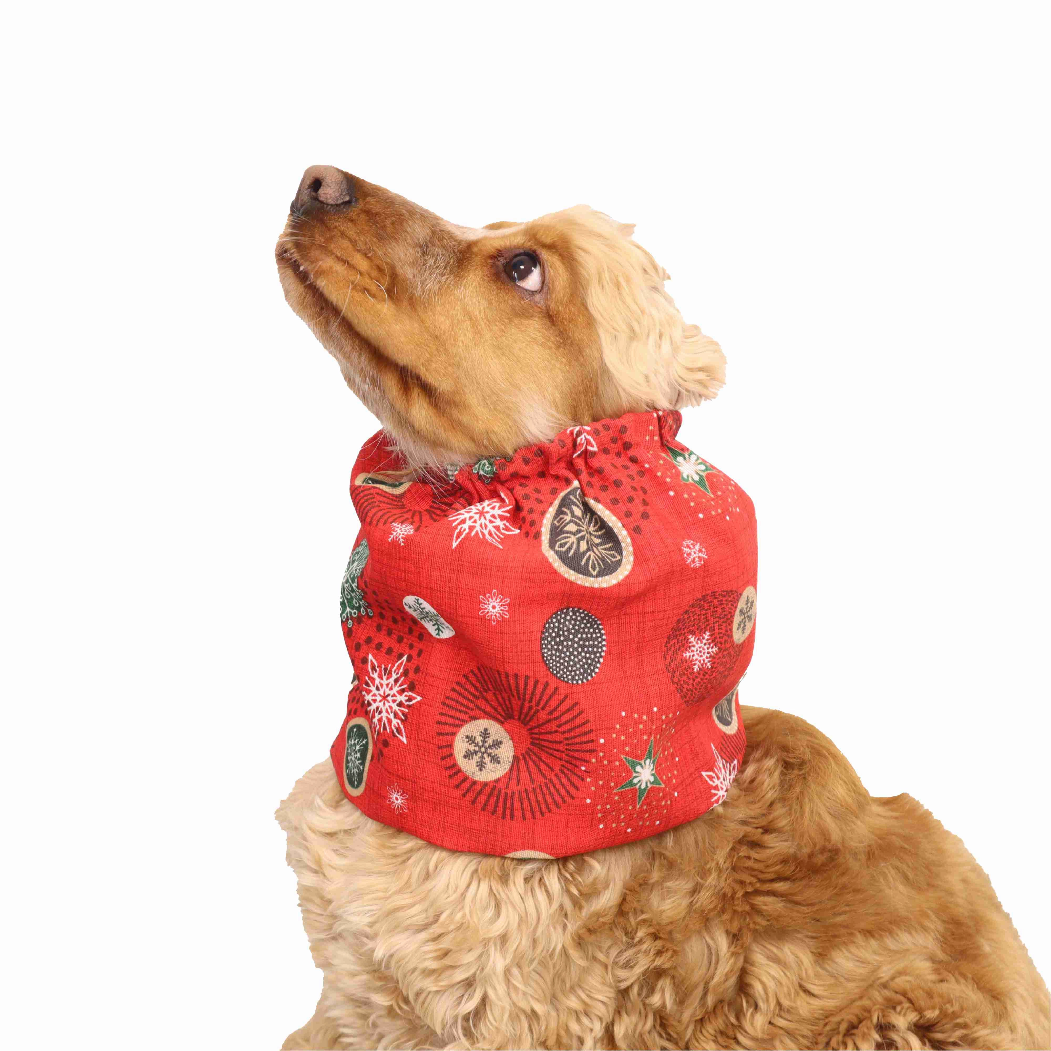 Cotton Dog Snood | Red Ornaments