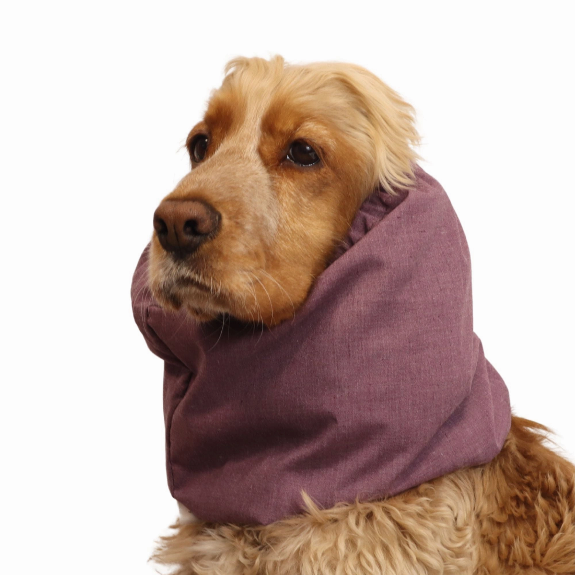 Cotton Dog Snood | Ruby