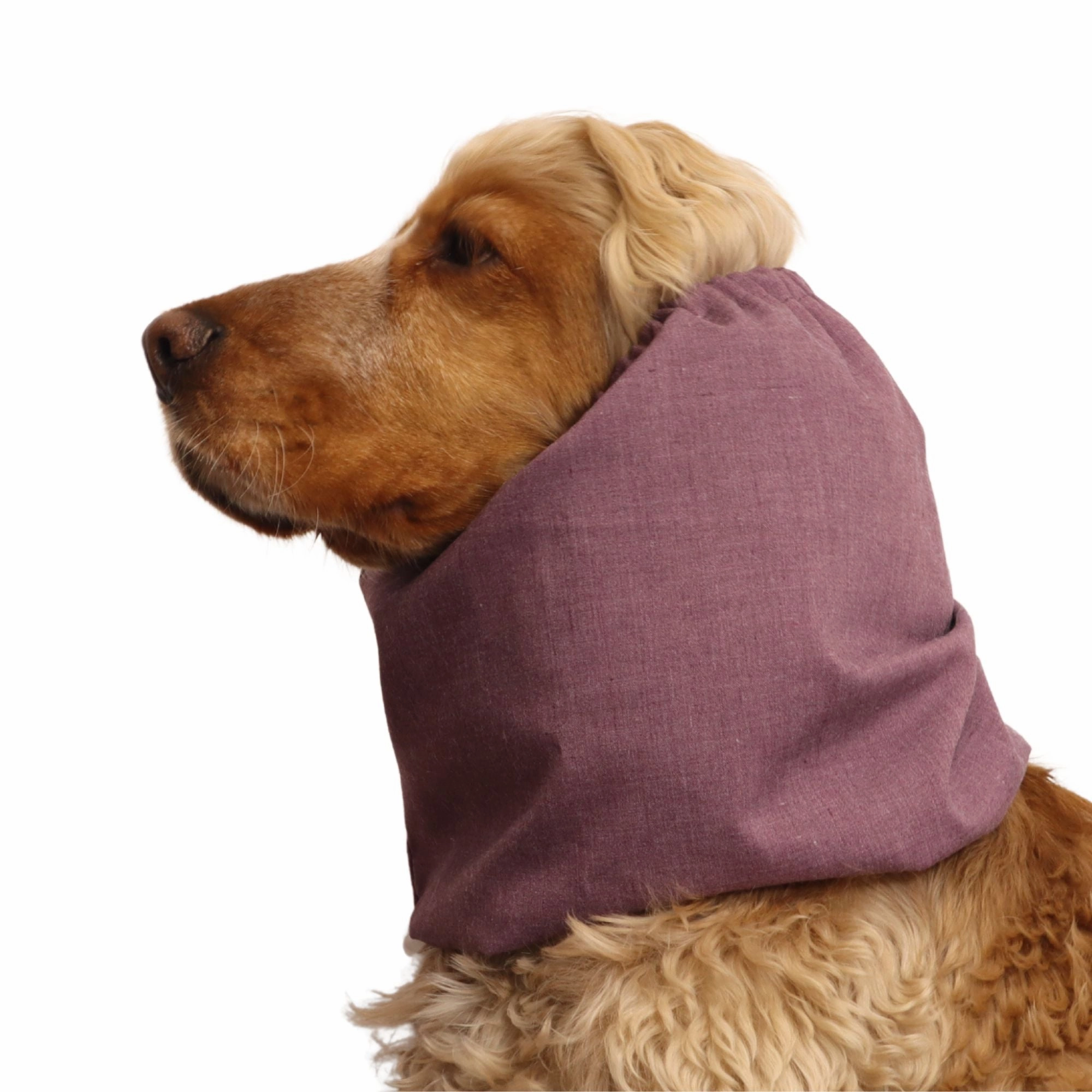 Cotton Dog Snood | Ruby