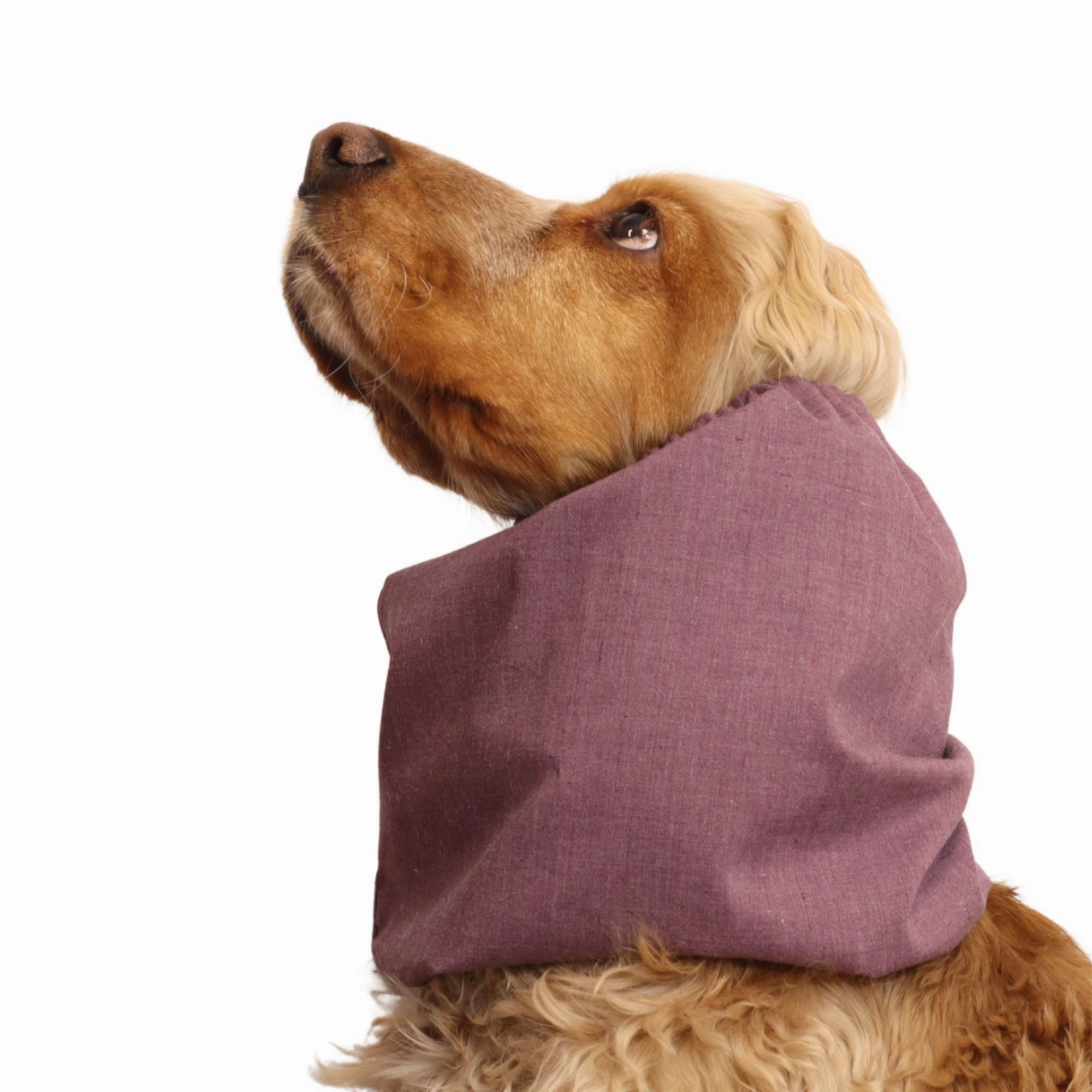 Cotton Dog Snood | Ruby