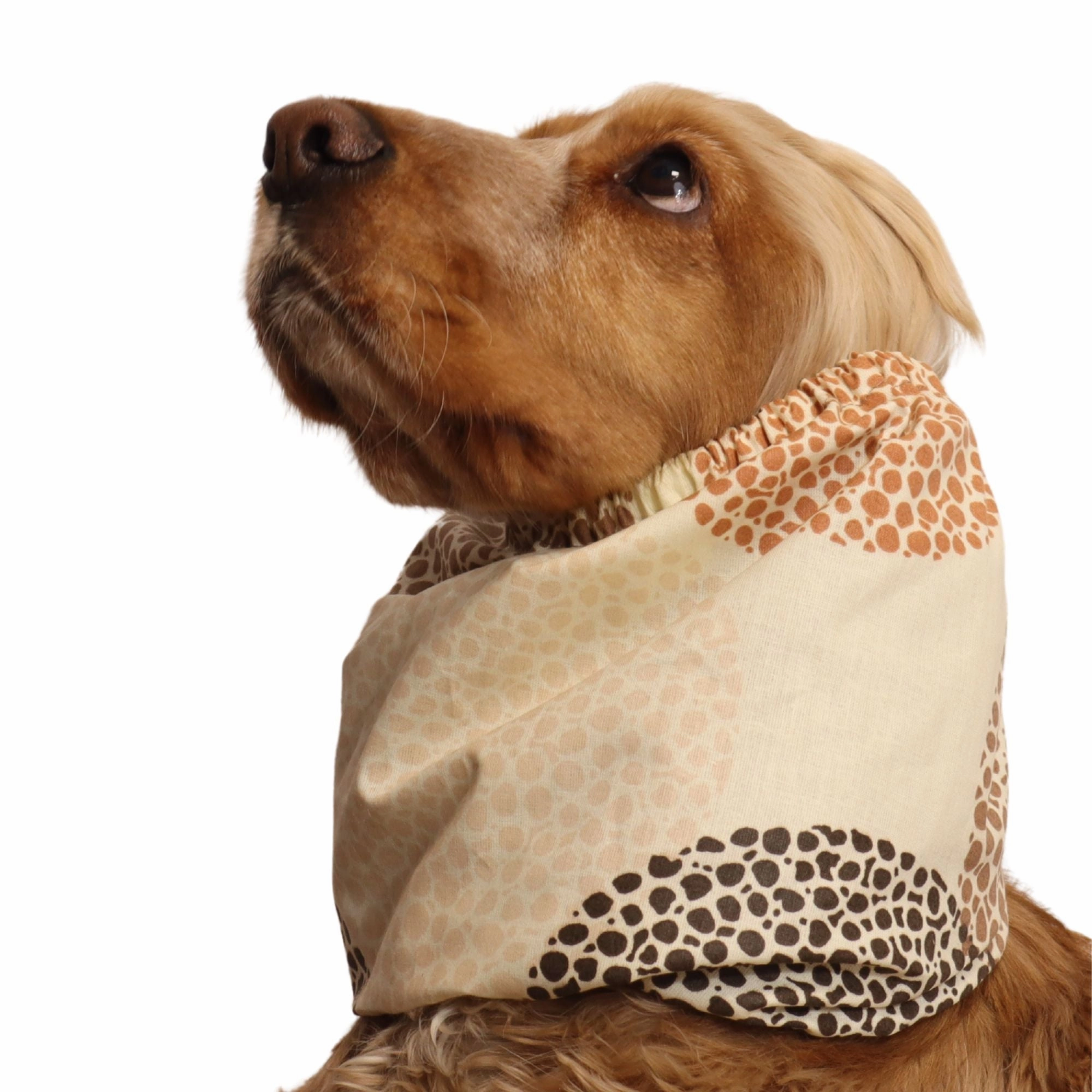 Cotton Dog Snood | Rustic Mocha