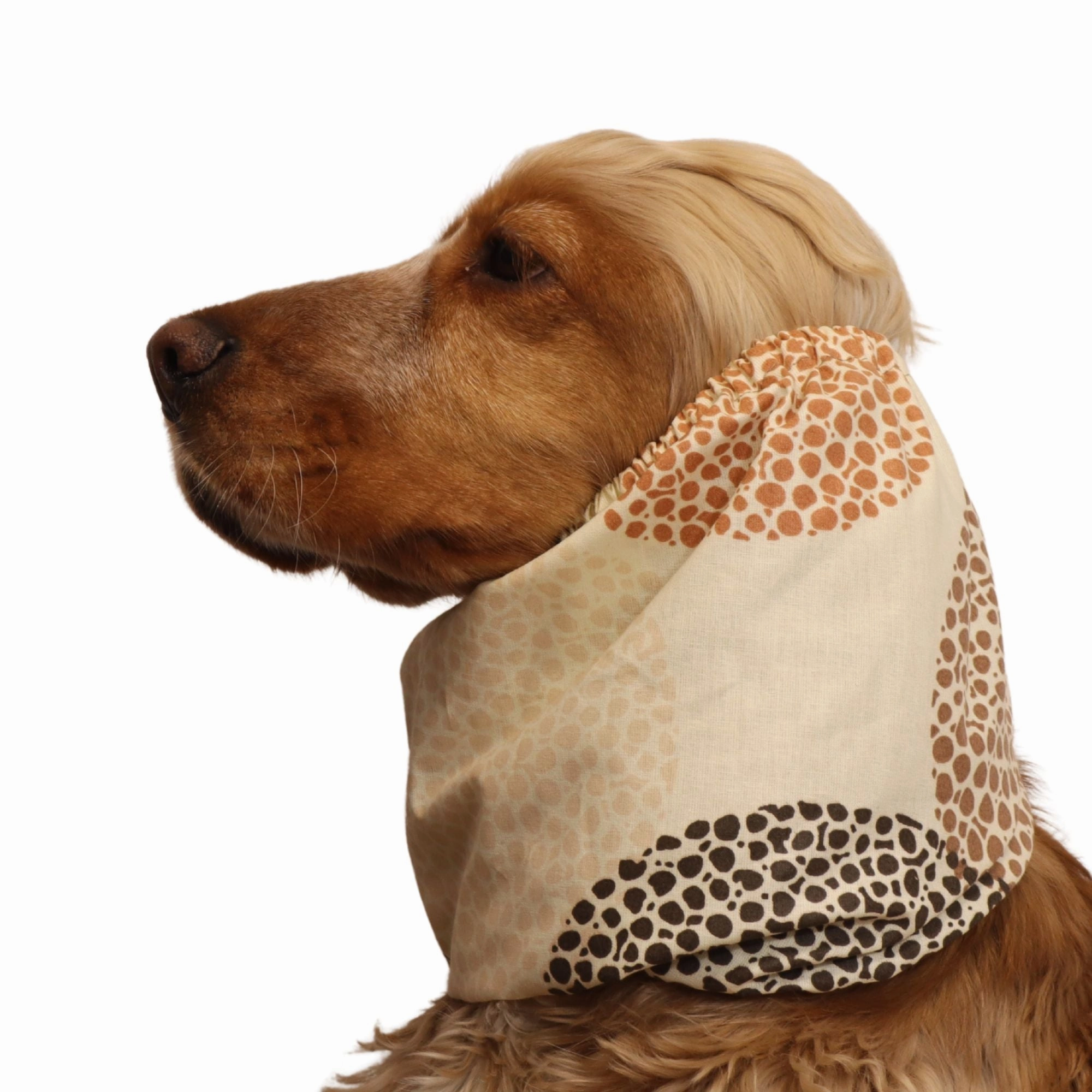Cotton Dog Snood | Rustic Mocha