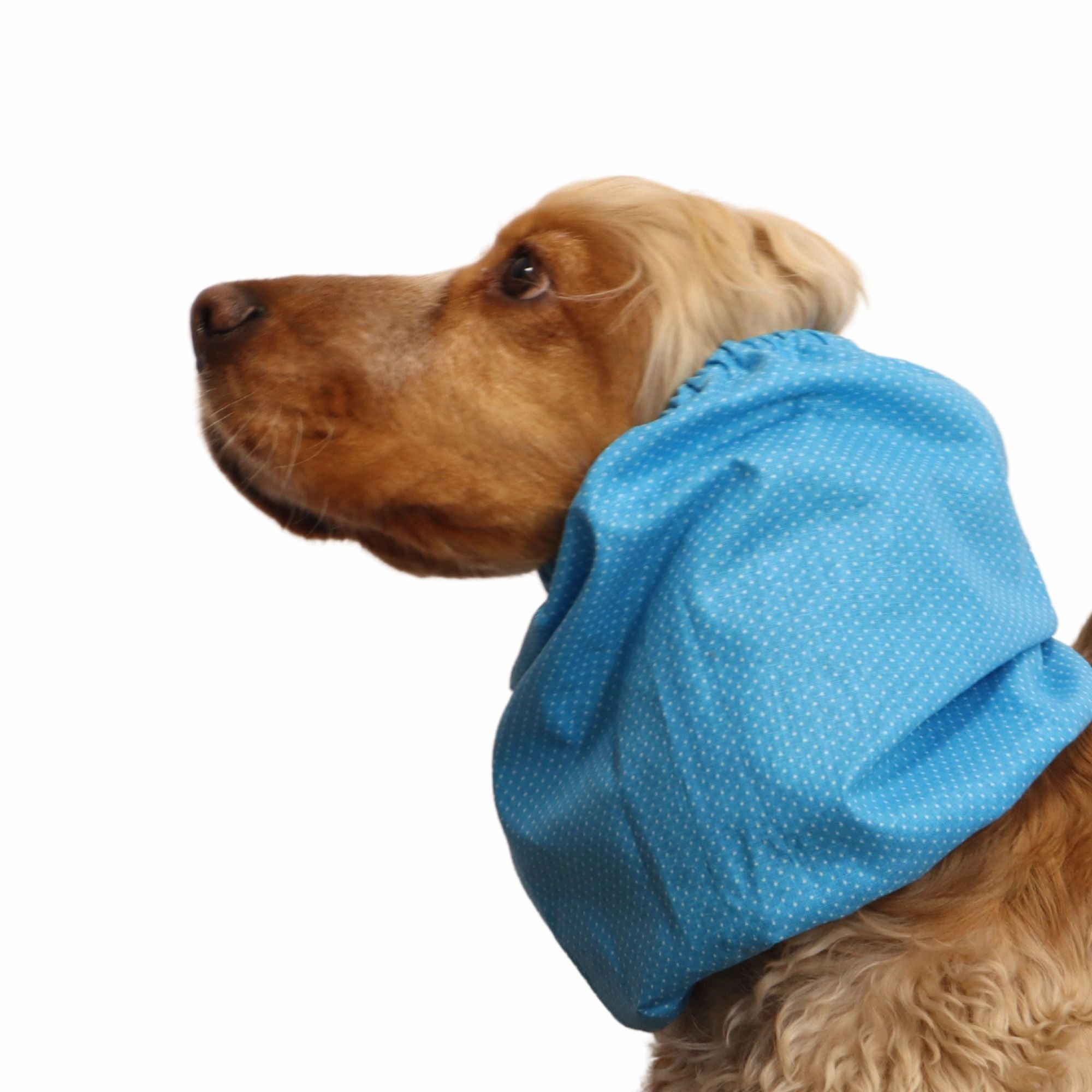 Cotton Dog Snood | Sky Dots