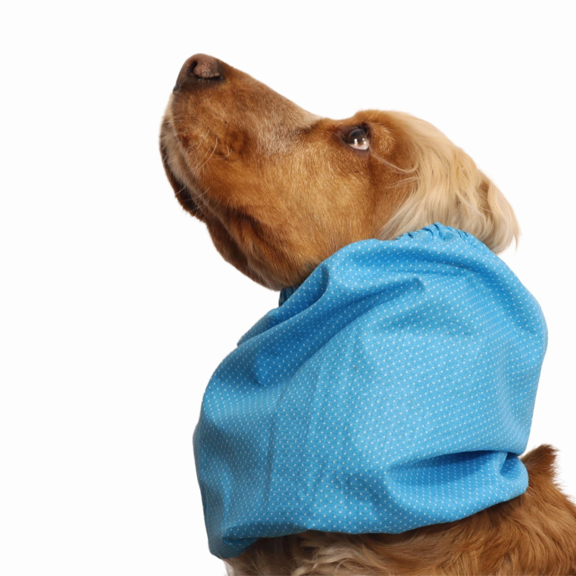 Cotton Dog Snood | Sky Dots