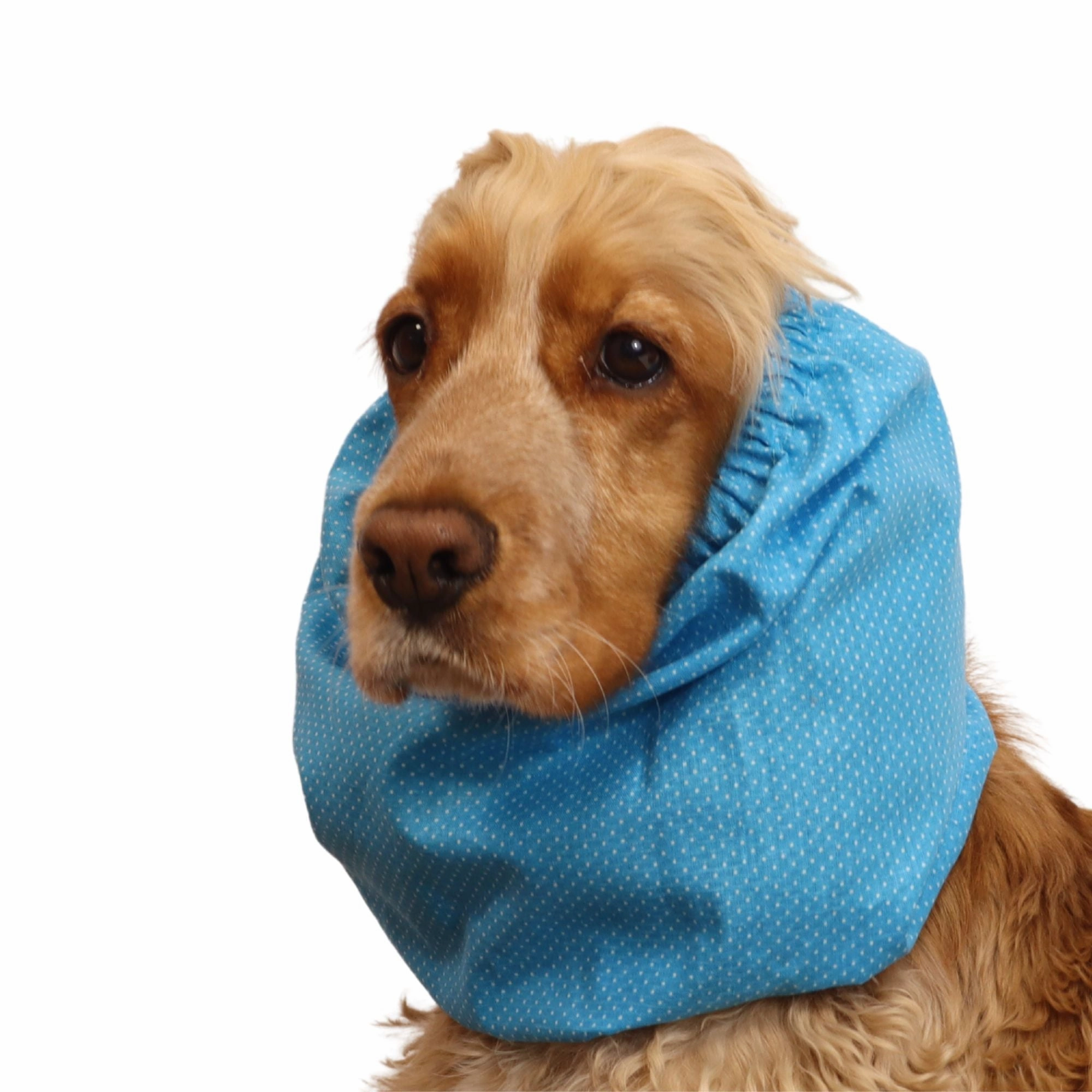Cotton Dog Snood | Sky Dots