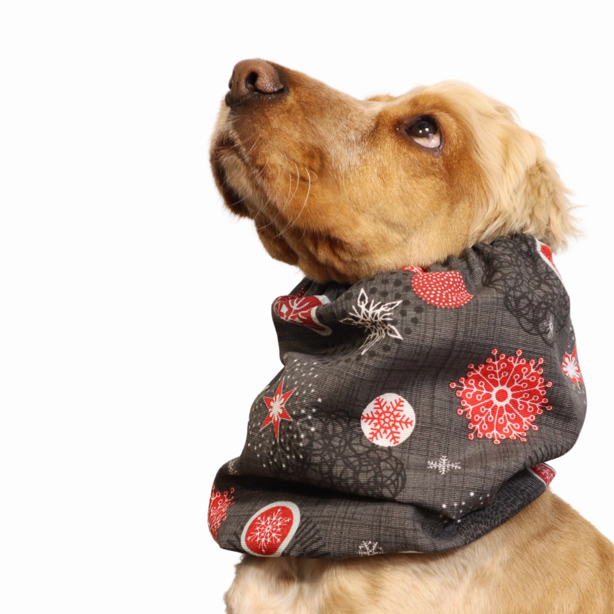 Cotton Dog Snood | Snowflakes In Grey