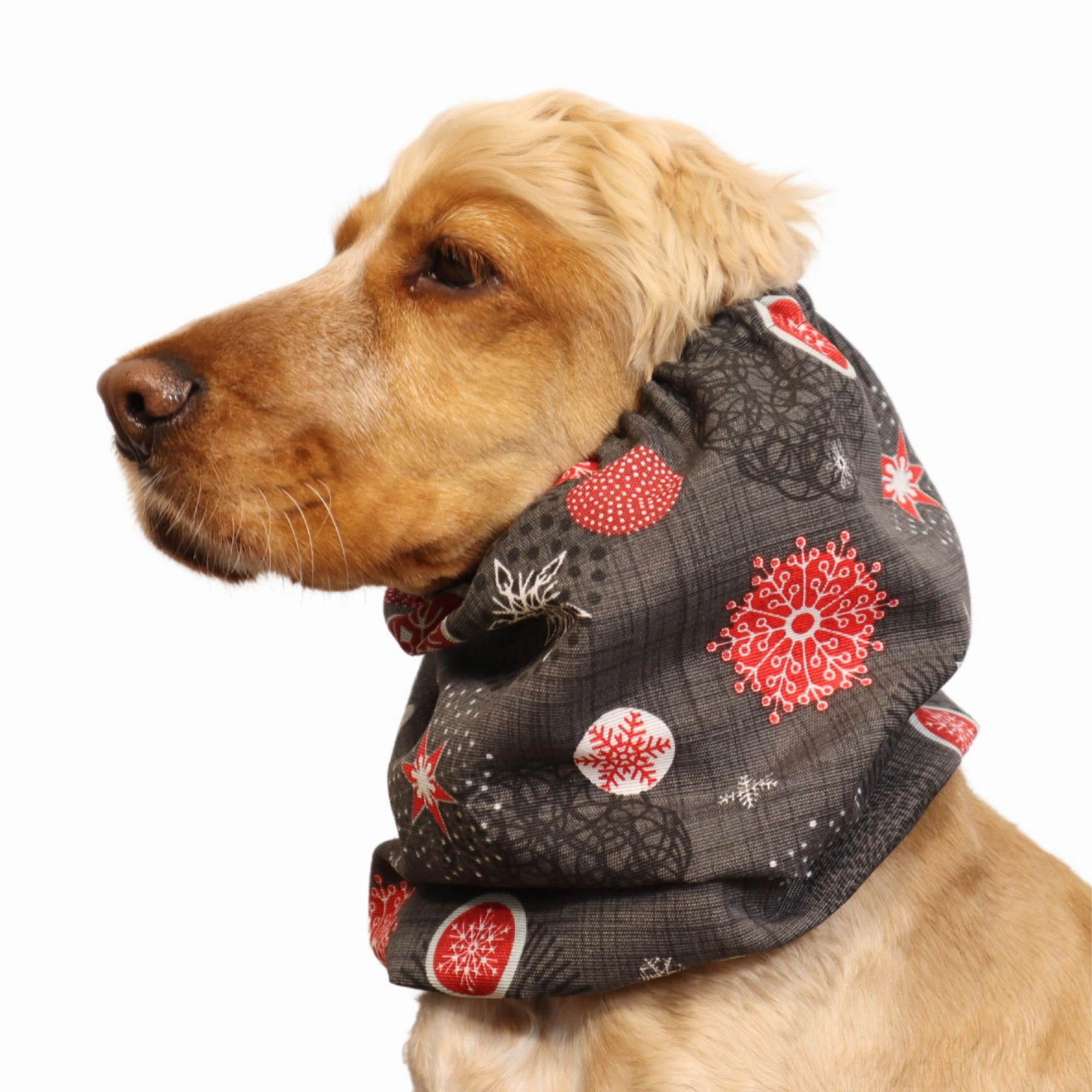 Cotton Dog Snood | Snowflakes In Grey