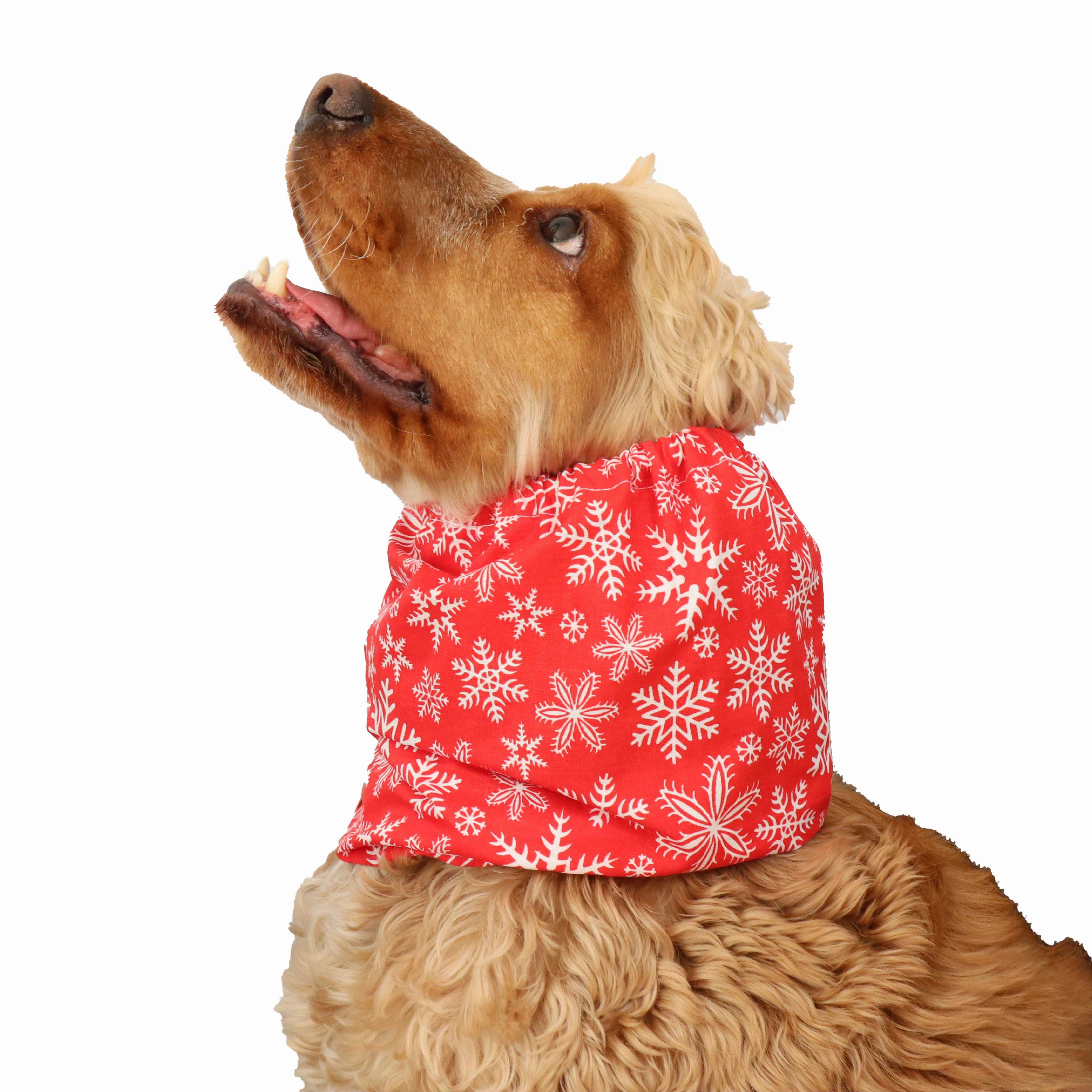 Cotton Dog Snood | Snowflakes In Red