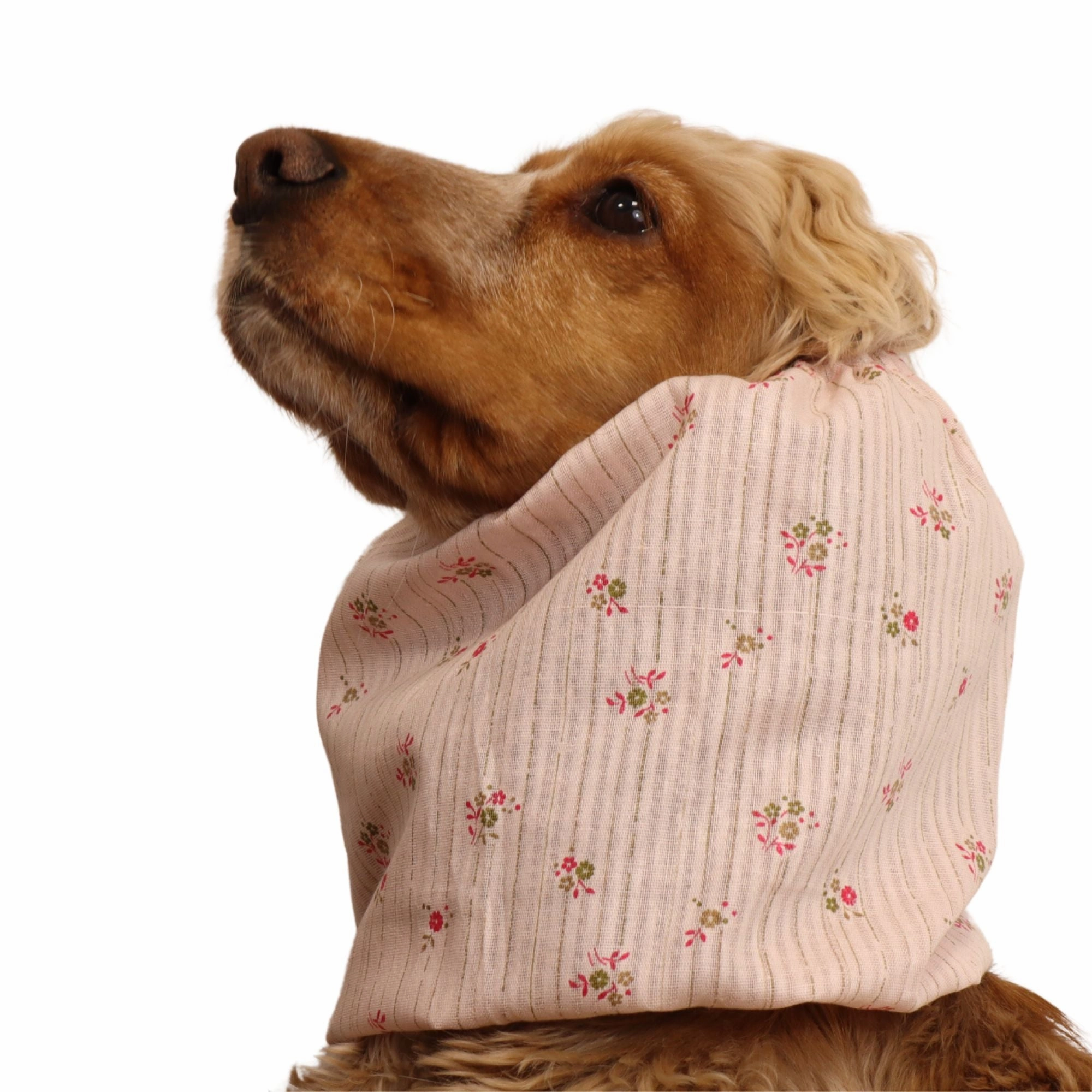 Cotton Dog Snood | Soft Summer