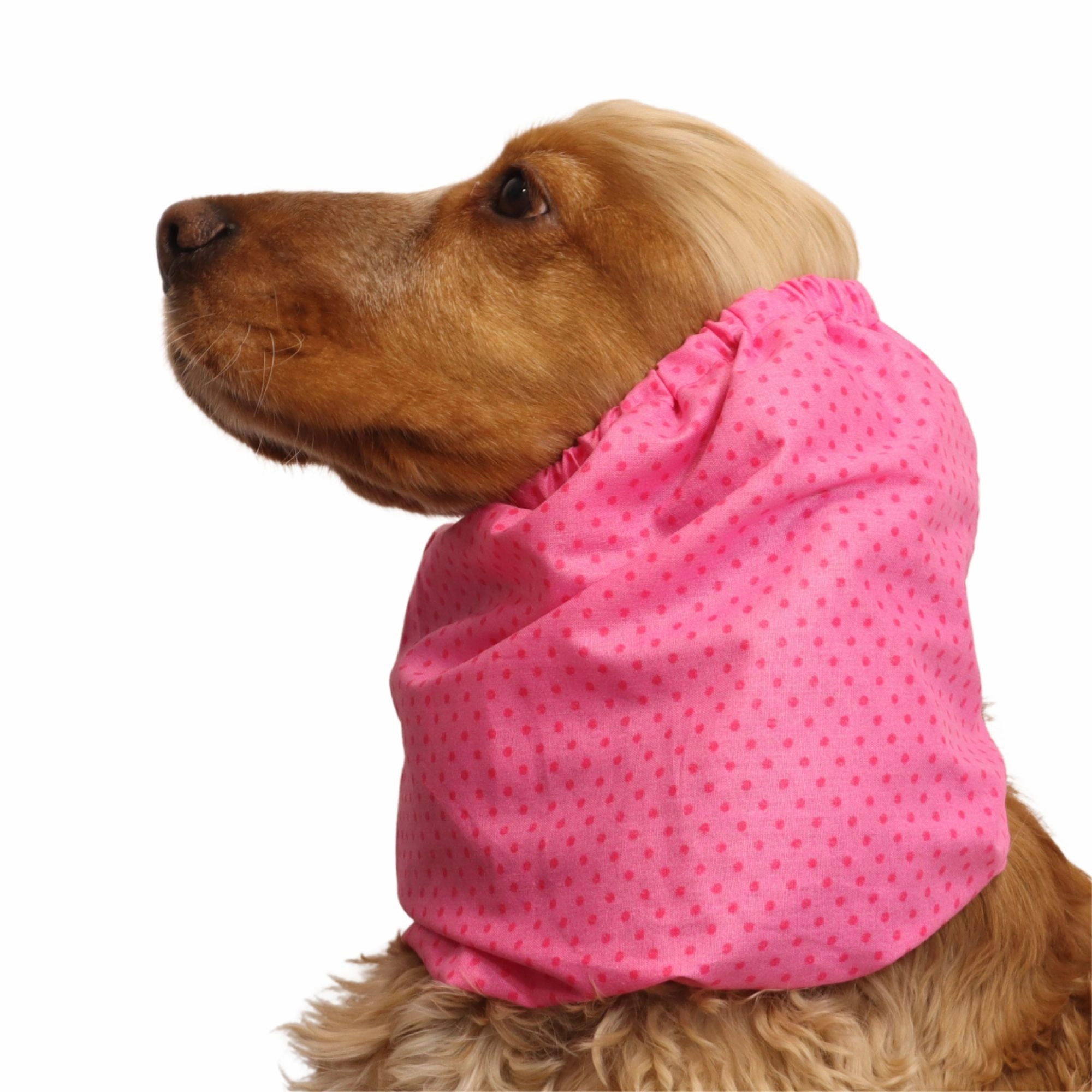 Cotton Dog Snood | Strawberry Dots
