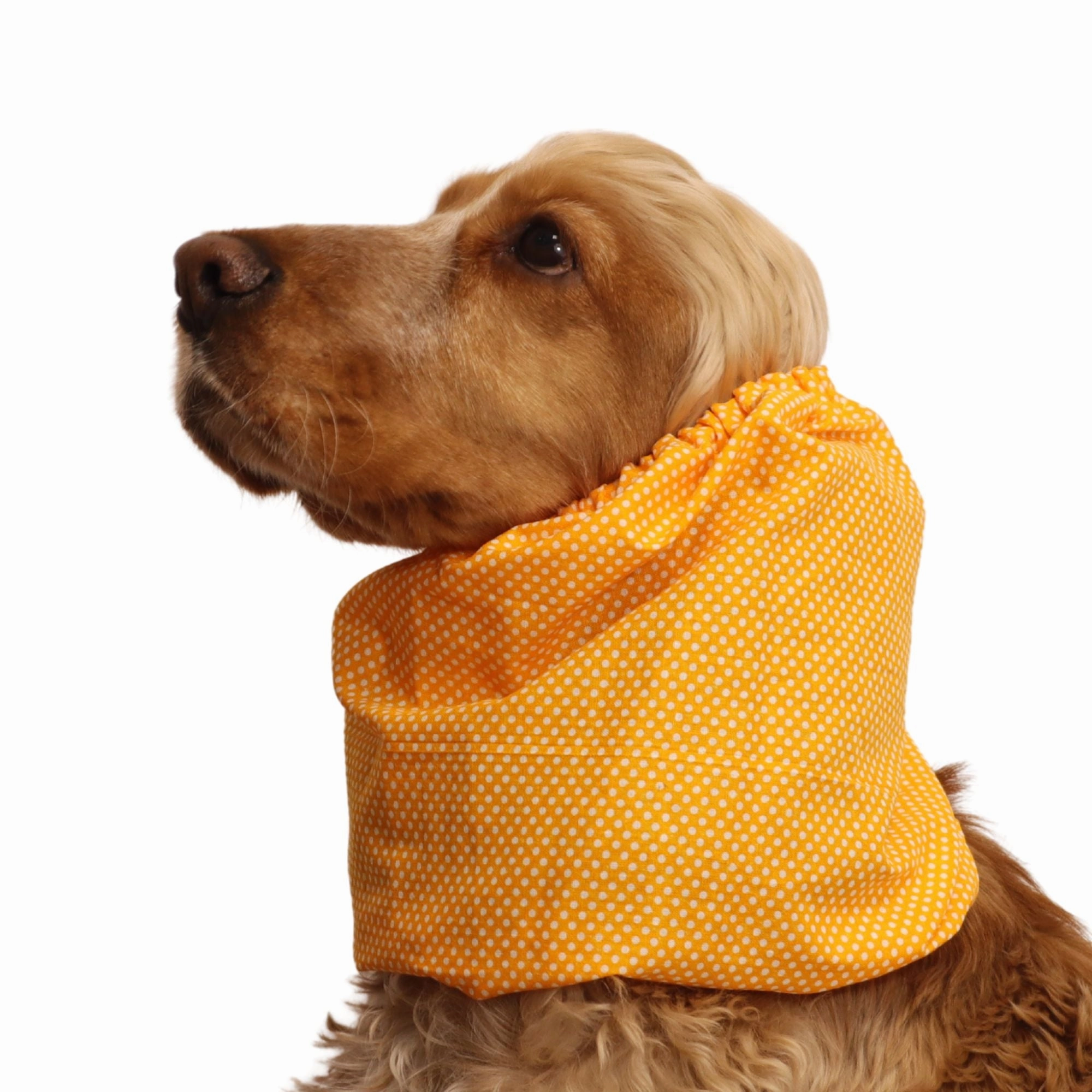 Cotton Dog Snood | Sunny Dots