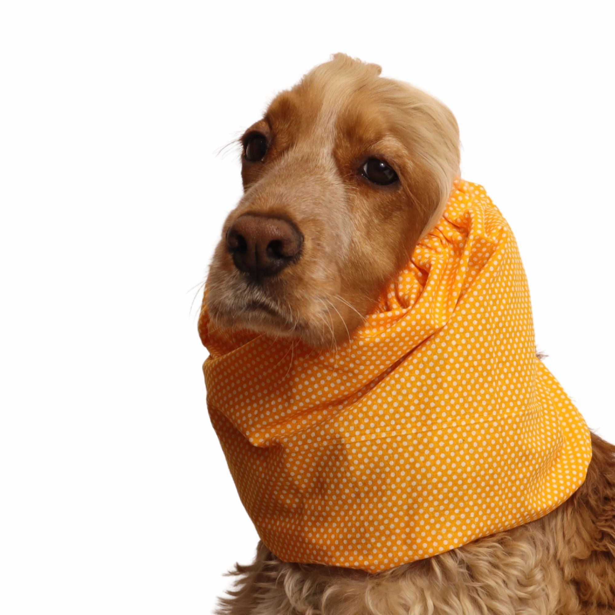 Cotton Dog Snood | Sunny Dots