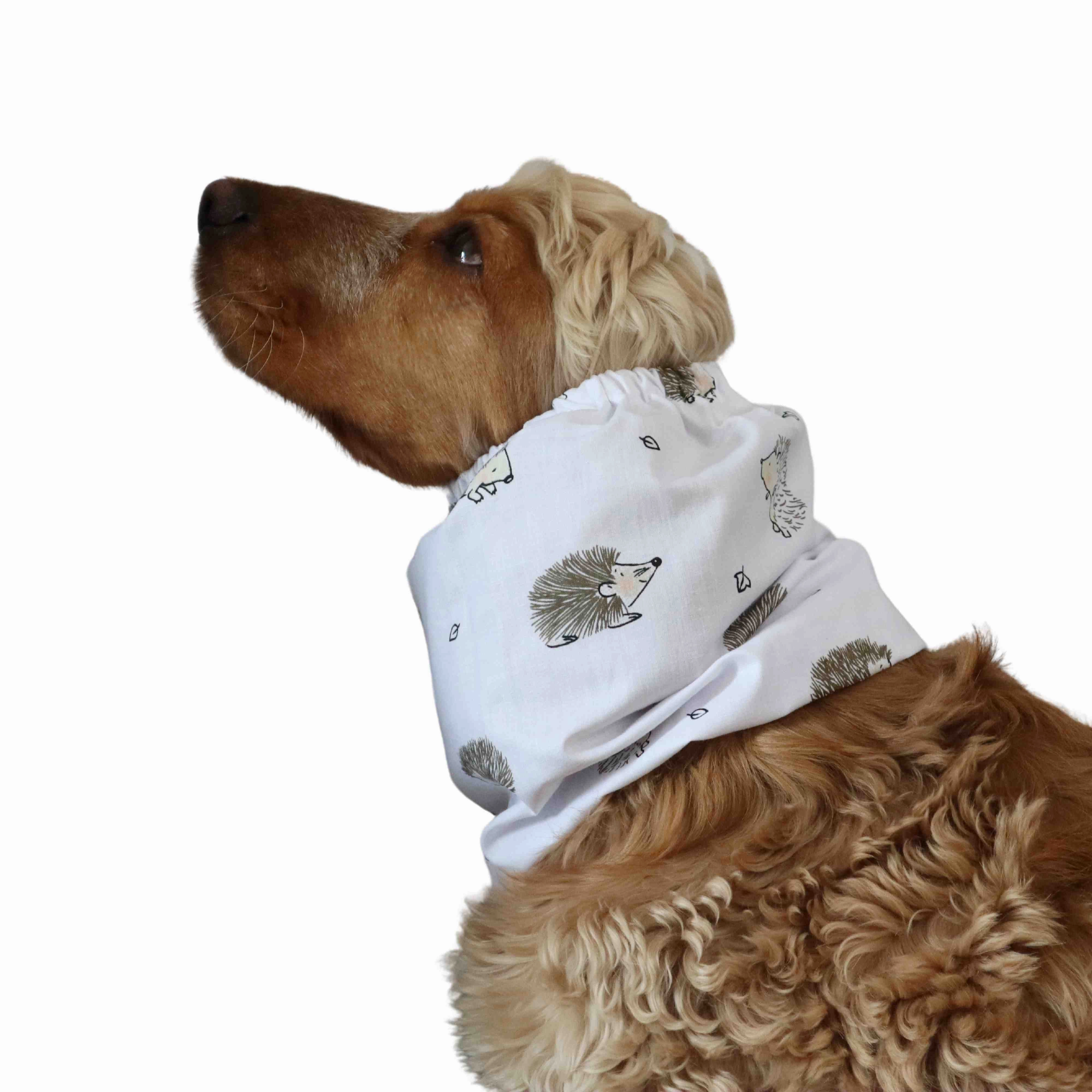 Cotton Dog Snood | The Hedgehog In White