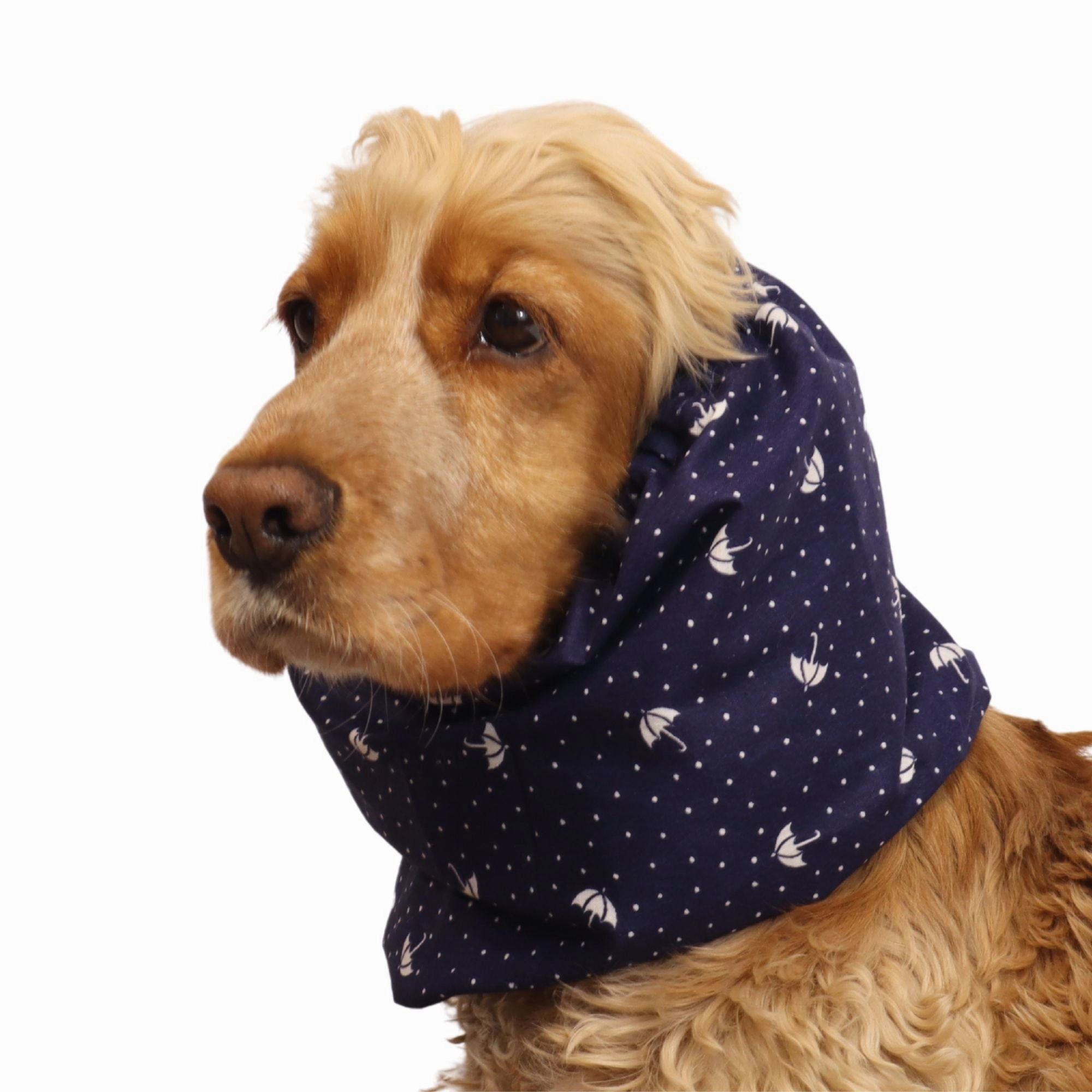Cotton Dog Snood | Umbrella