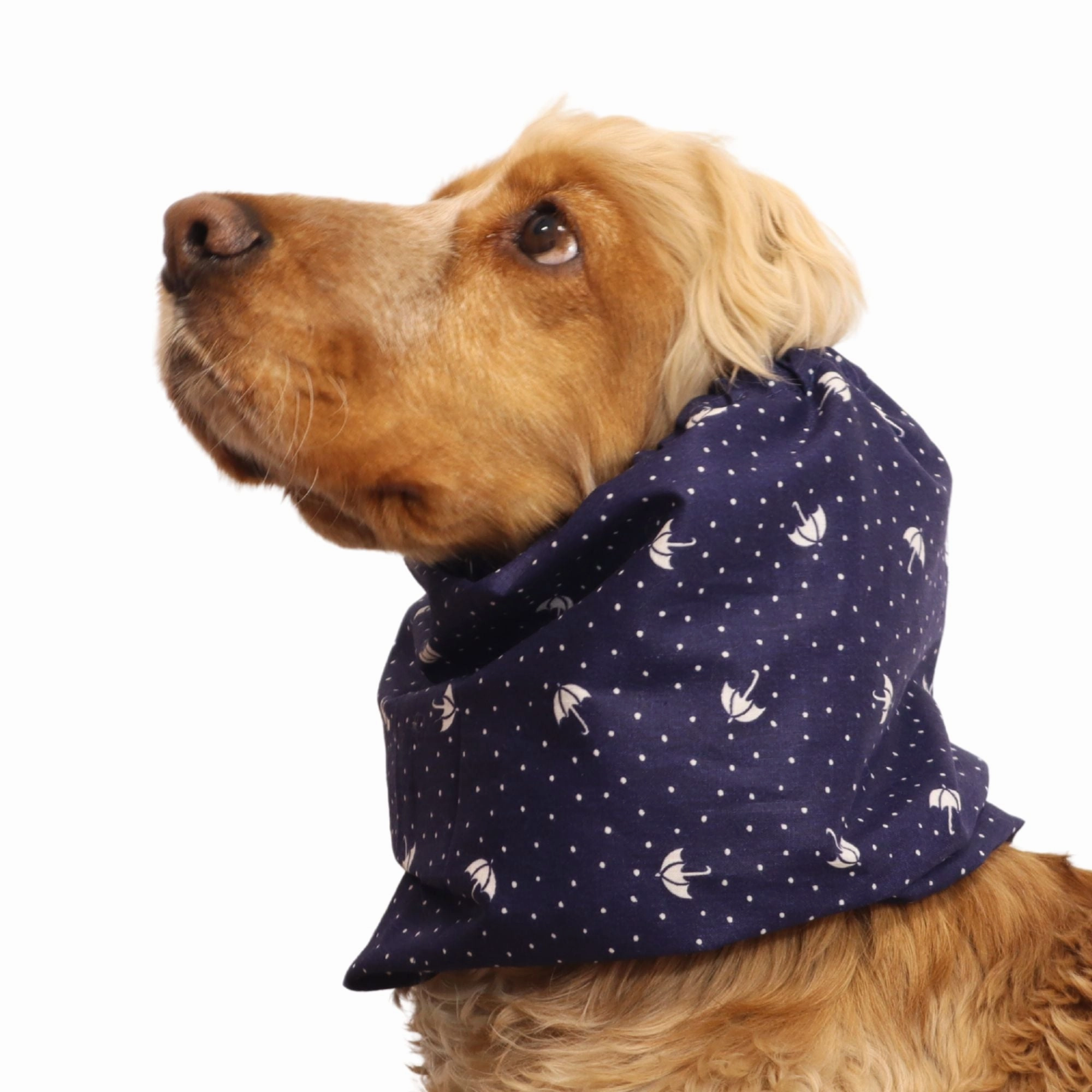 Cotton Dog Snood | Umbrella