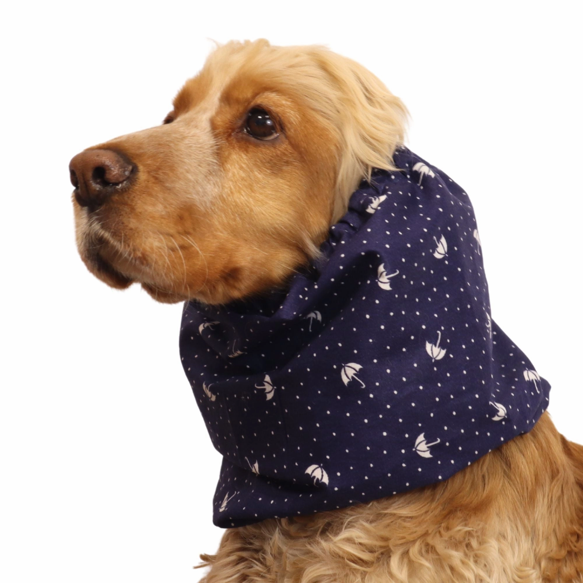 Cotton Dog Snood | Umbrella
