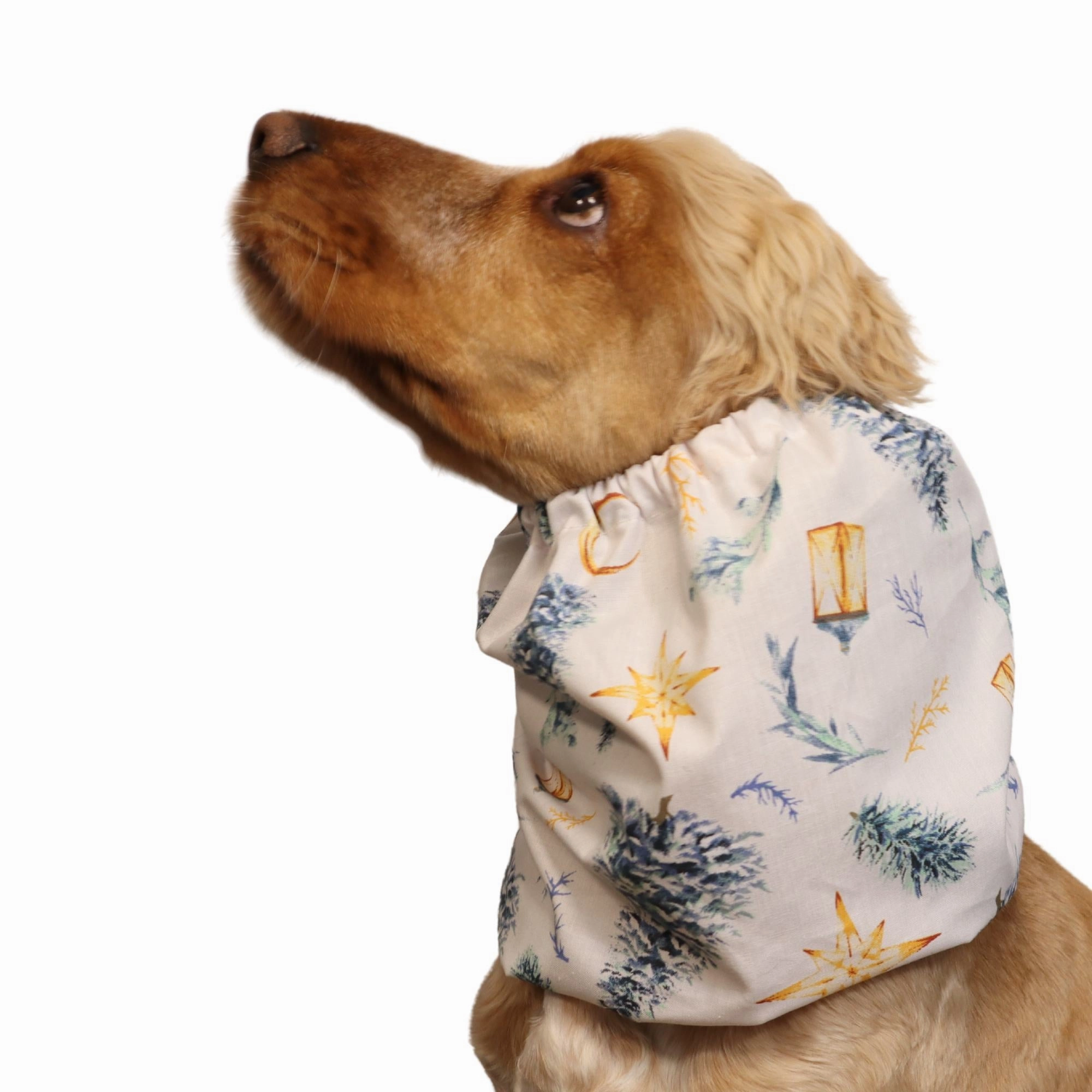 Cotton Dog Snood | White Christmas