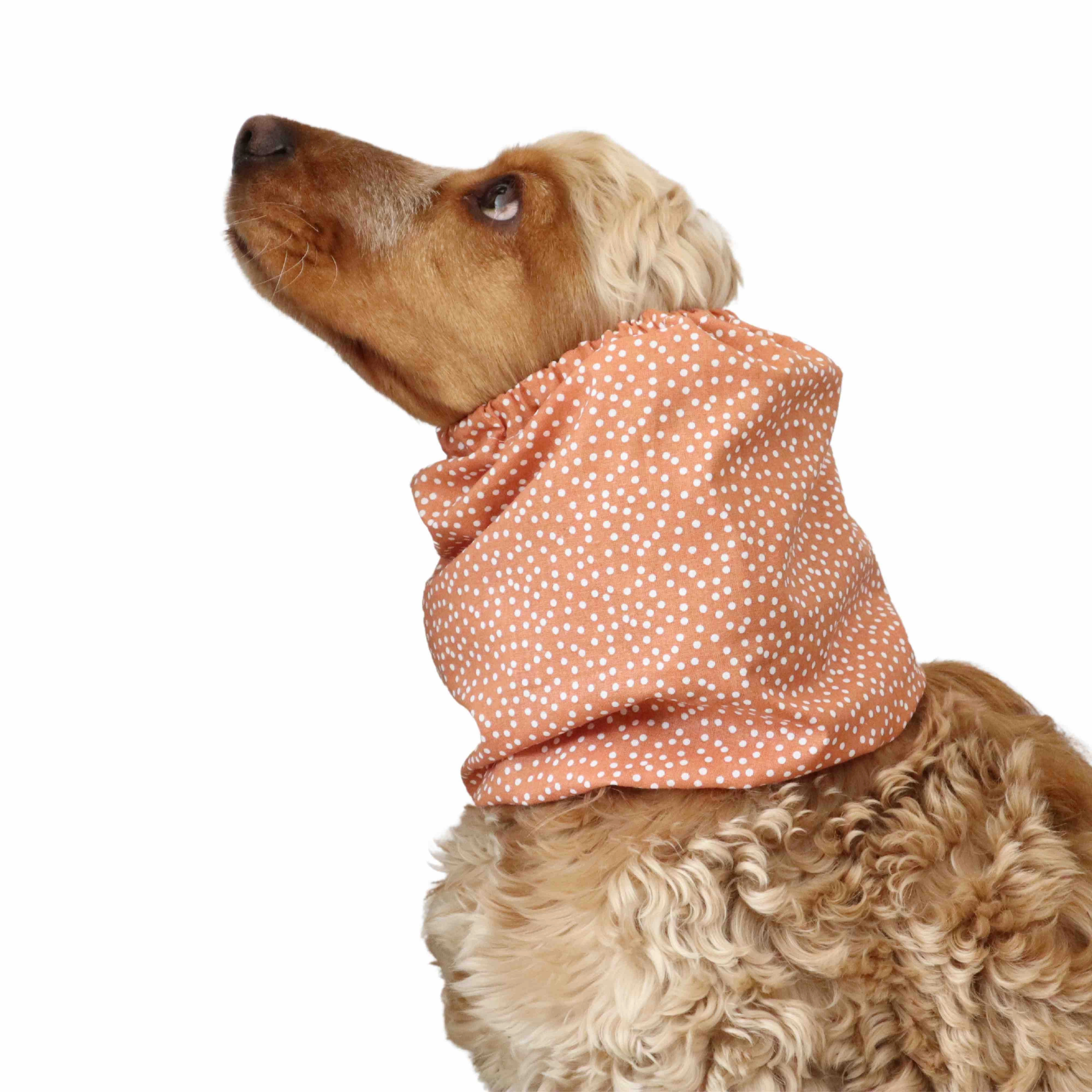 Cotton Dog Snood | White Dots In Copper