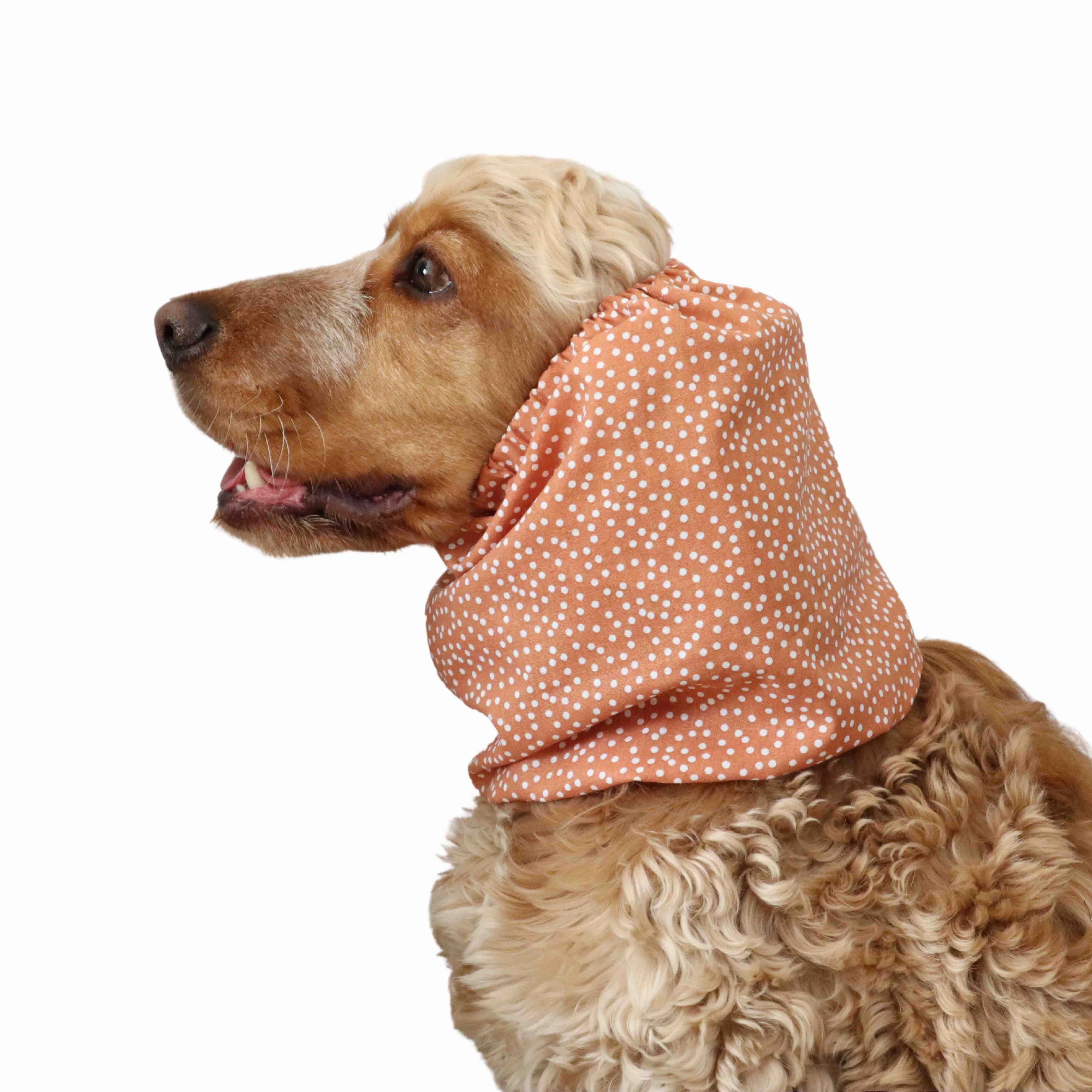 Cotton Dog Snood | White Dots In Copper