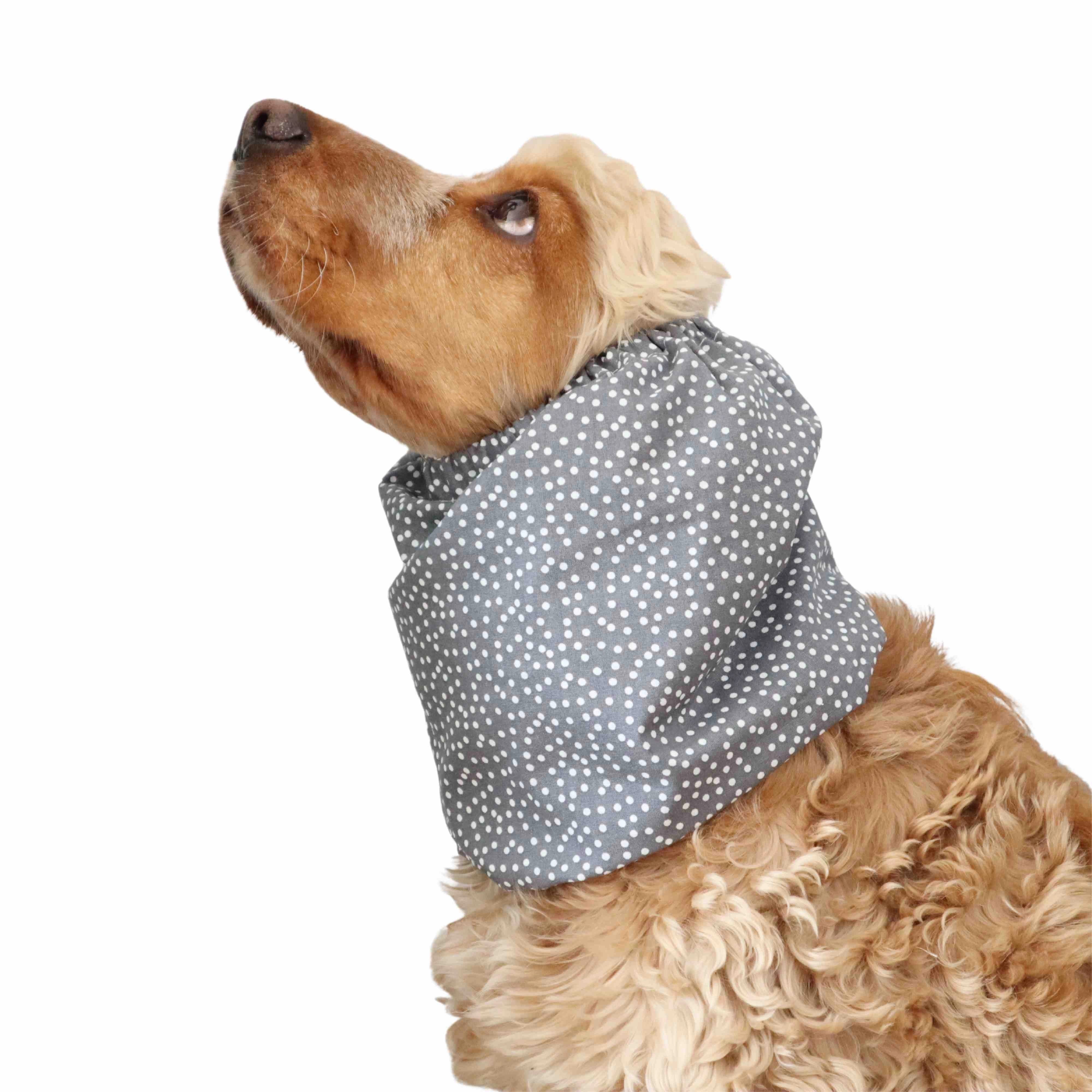Cotton Dog Snood | White Dots In Grey