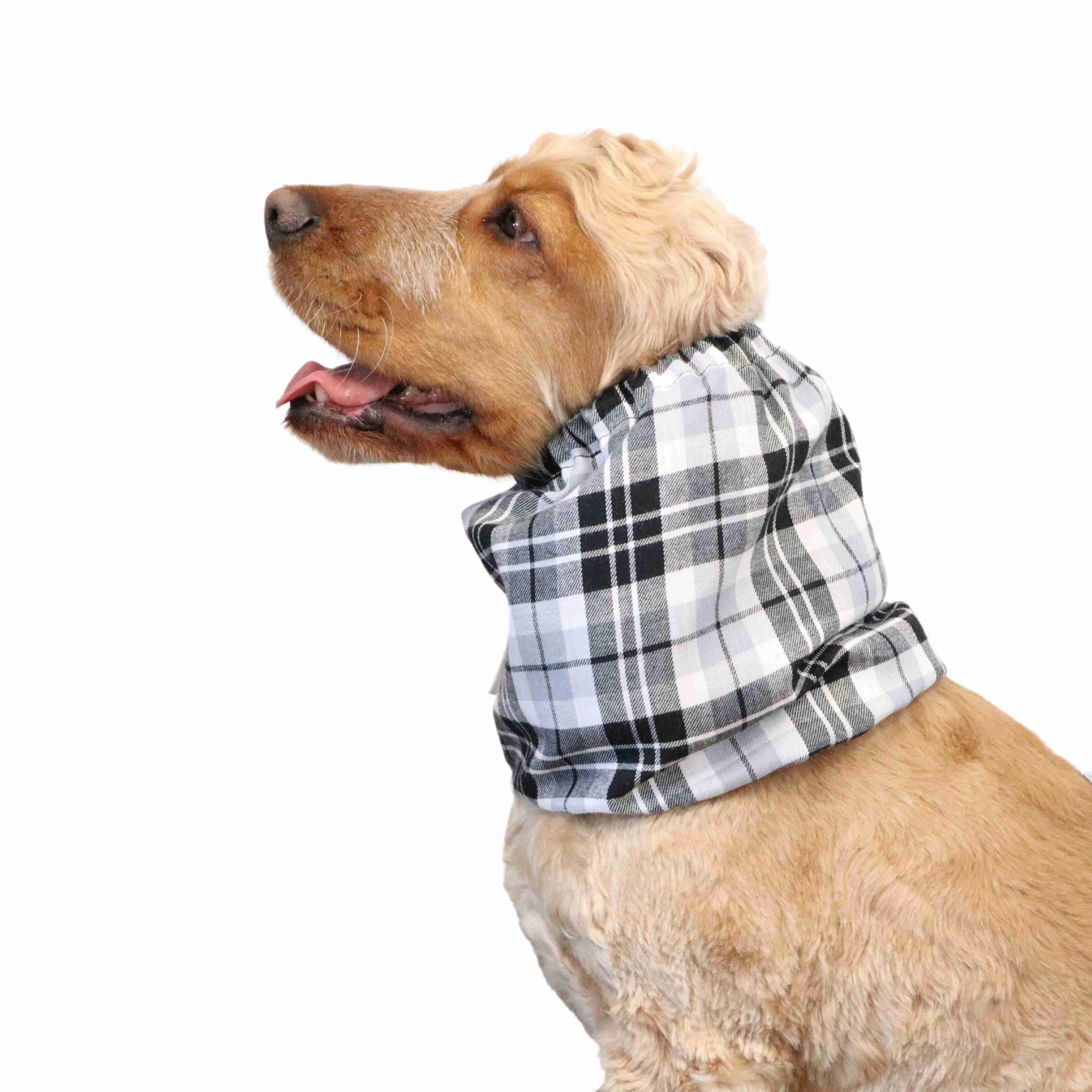 Cotton Dog Snood | White Tartan