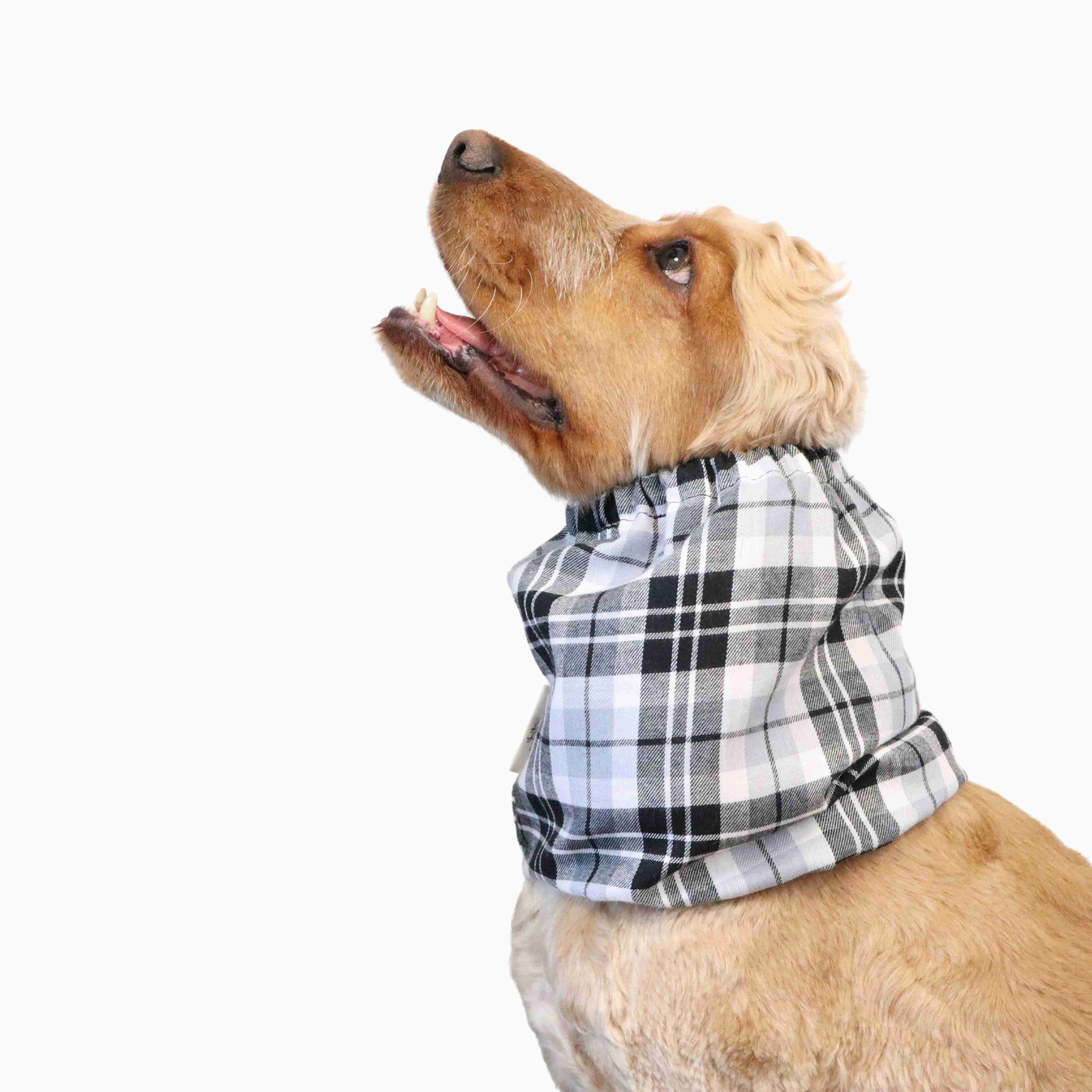 Cotton Dog Snood | White Tartan