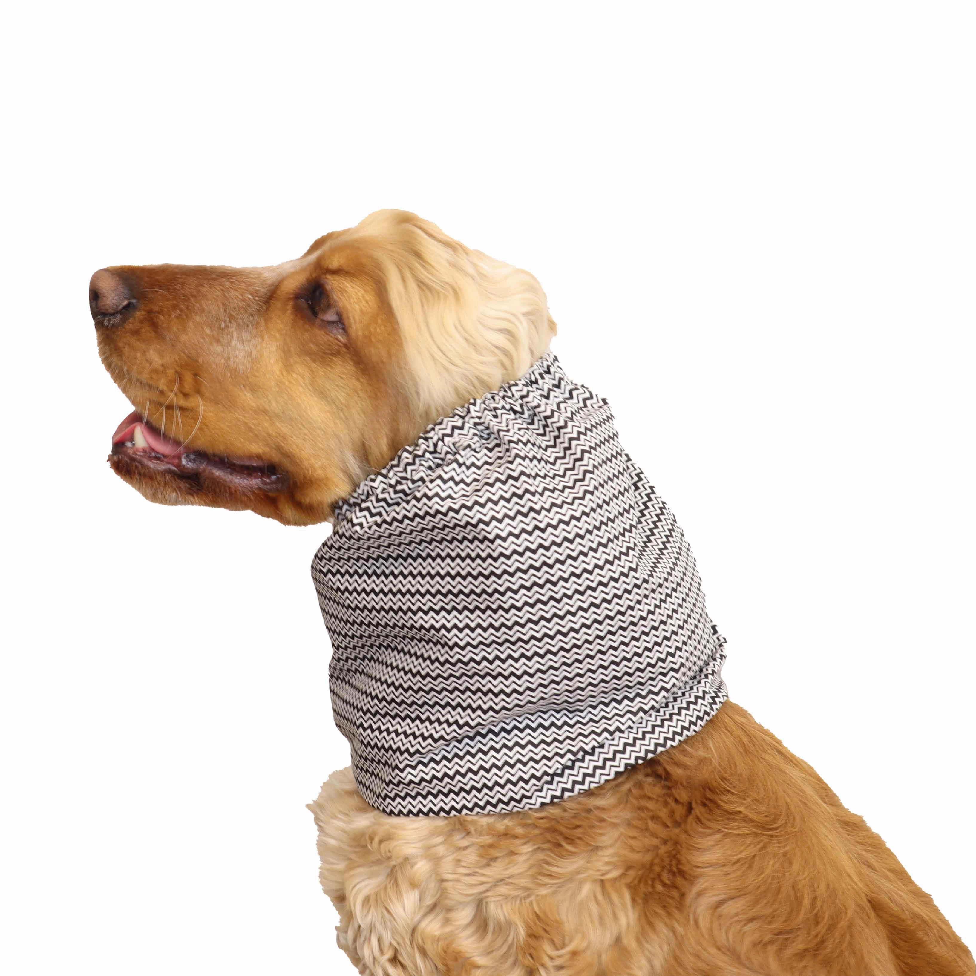 Cotton Dog Snood | Zig-zag