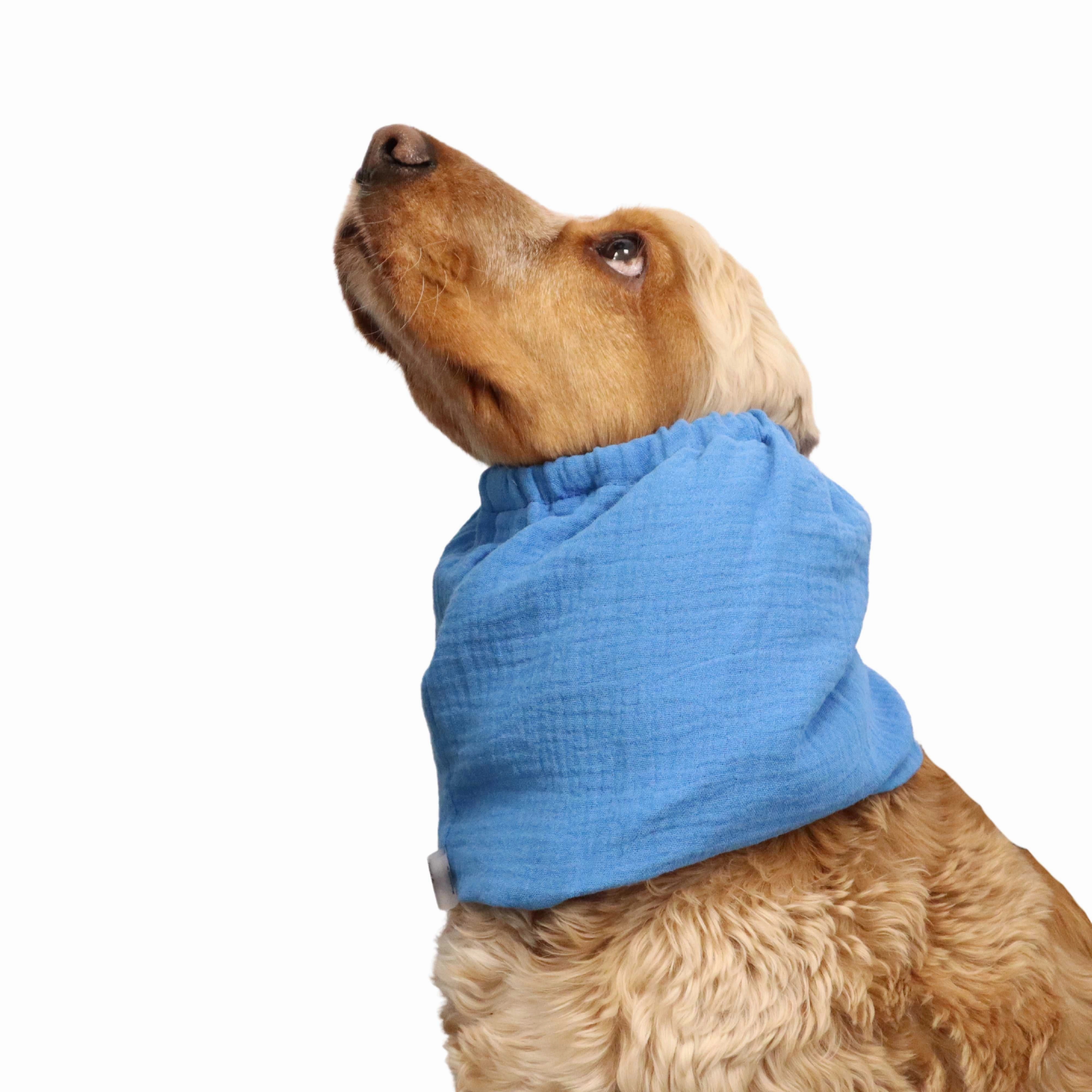Cotton (Muslin) Dog Snood | Blue