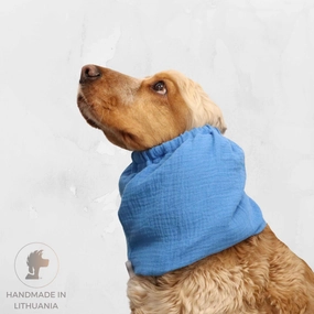 Cotton (Muslin) Dog Snood | Blue
