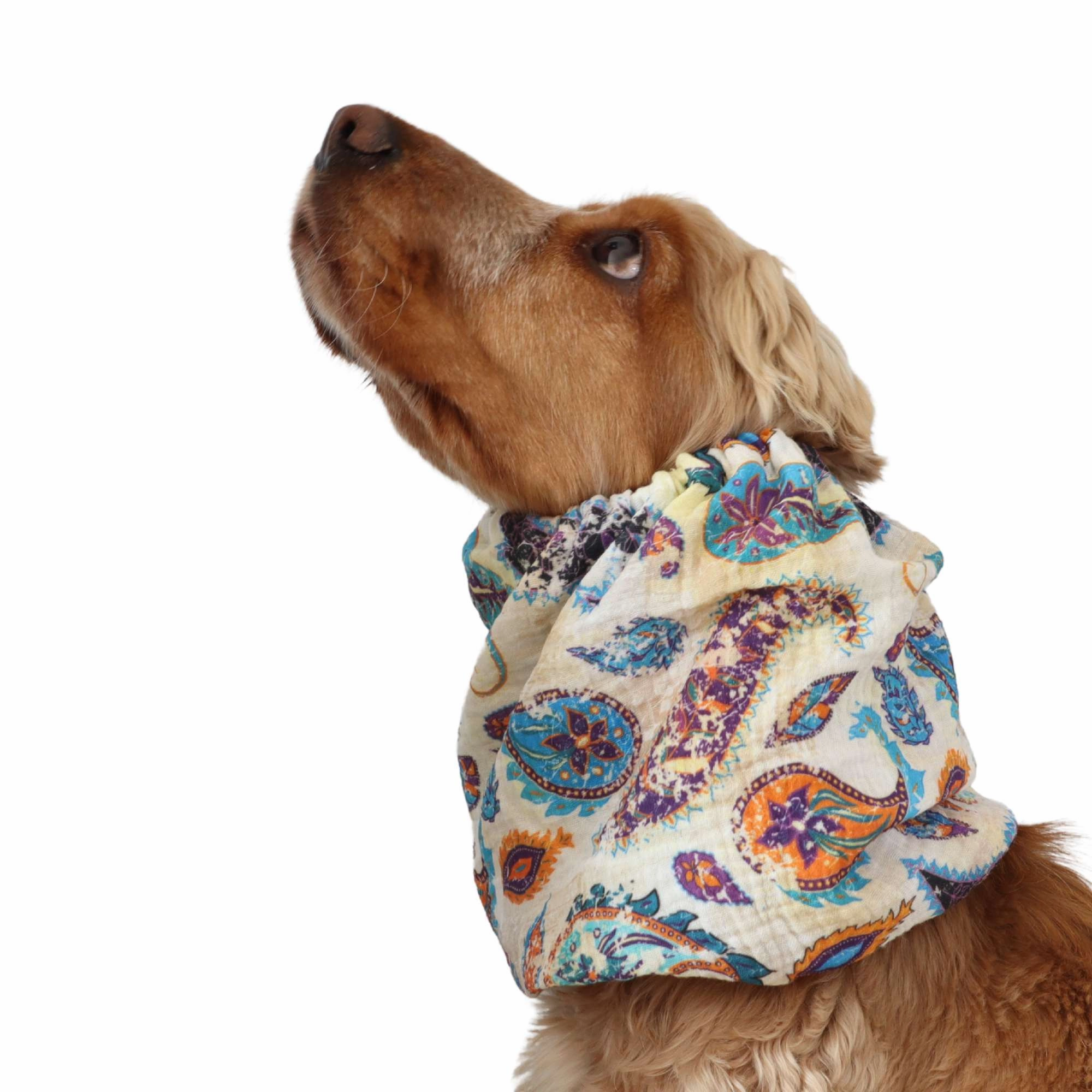 Cotton (Muslin) Dog Snood | Boho Paisley Dream