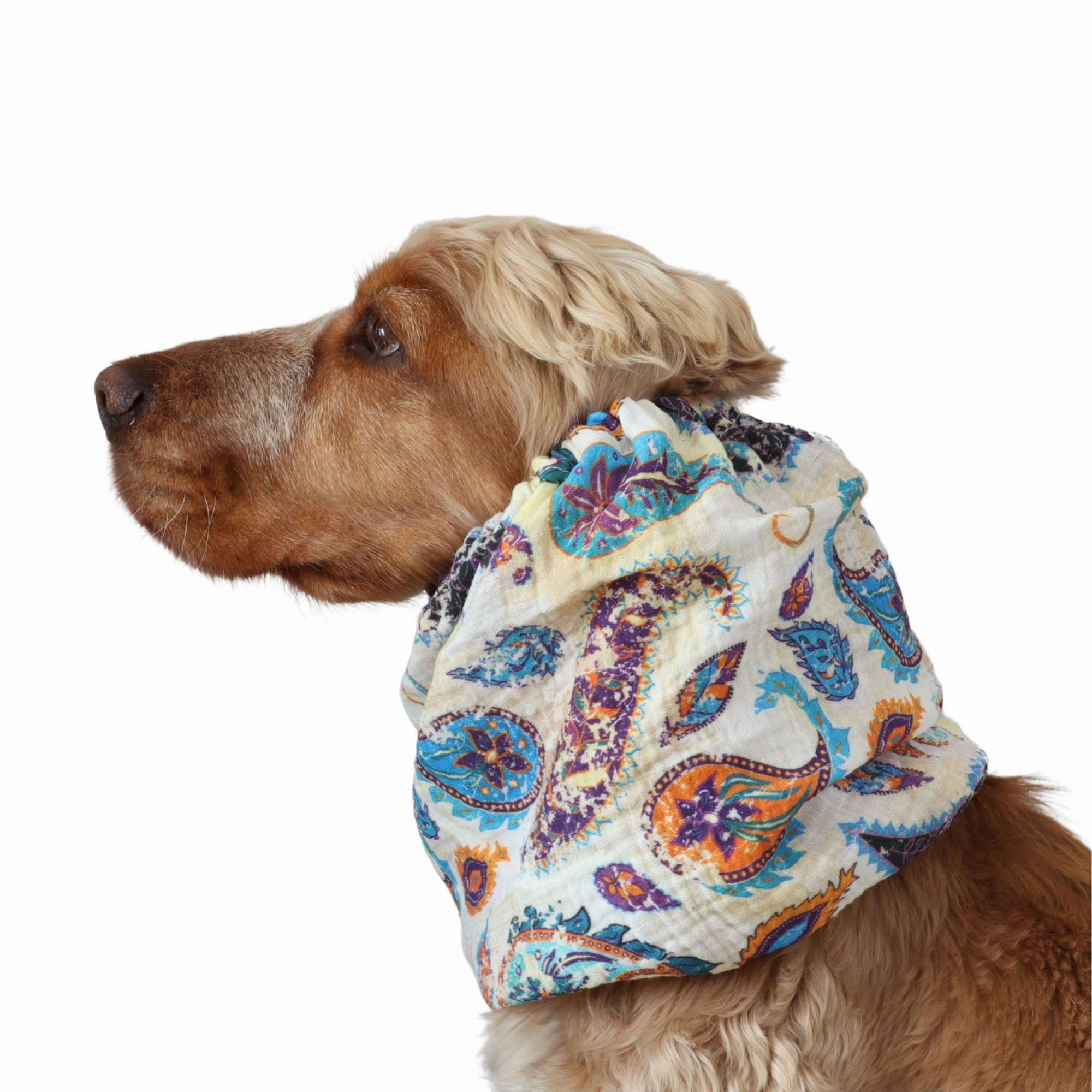 Cotton (Muslin) Dog Snood | Boho Paisley Dream
