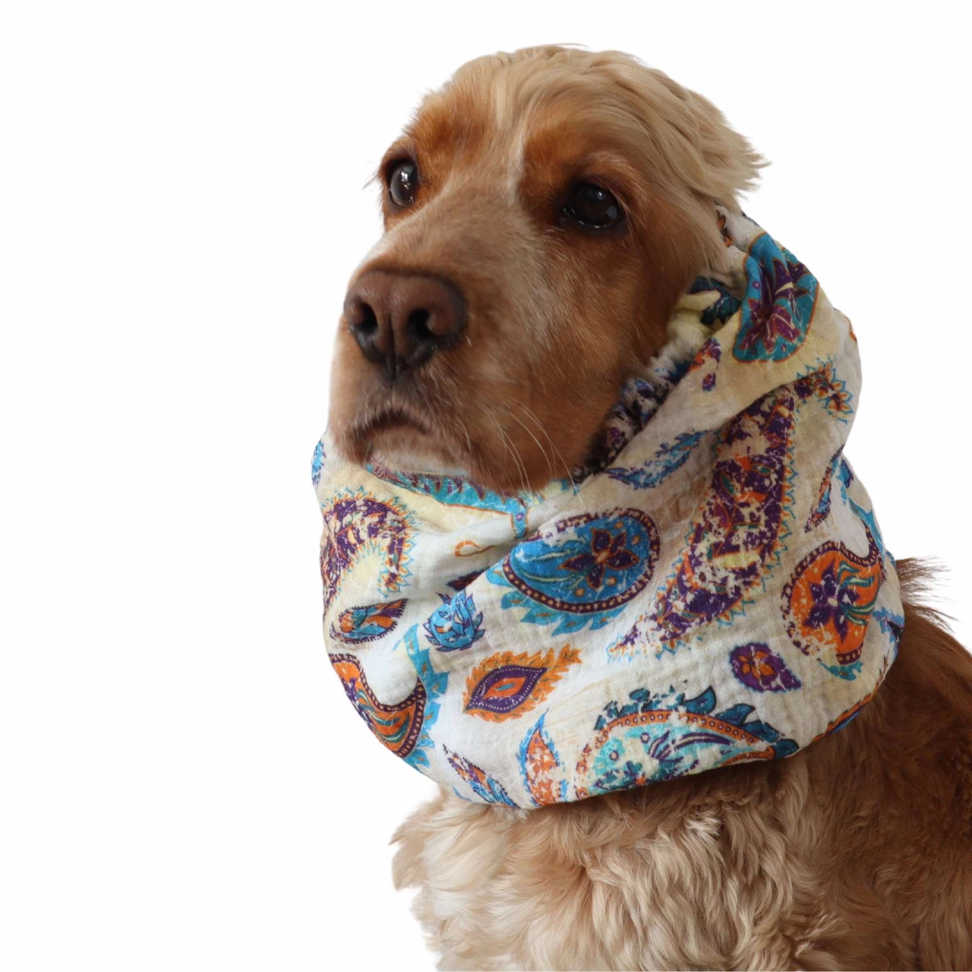 Cotton (Muslin) Dog Snood | Boho Paisley Dream