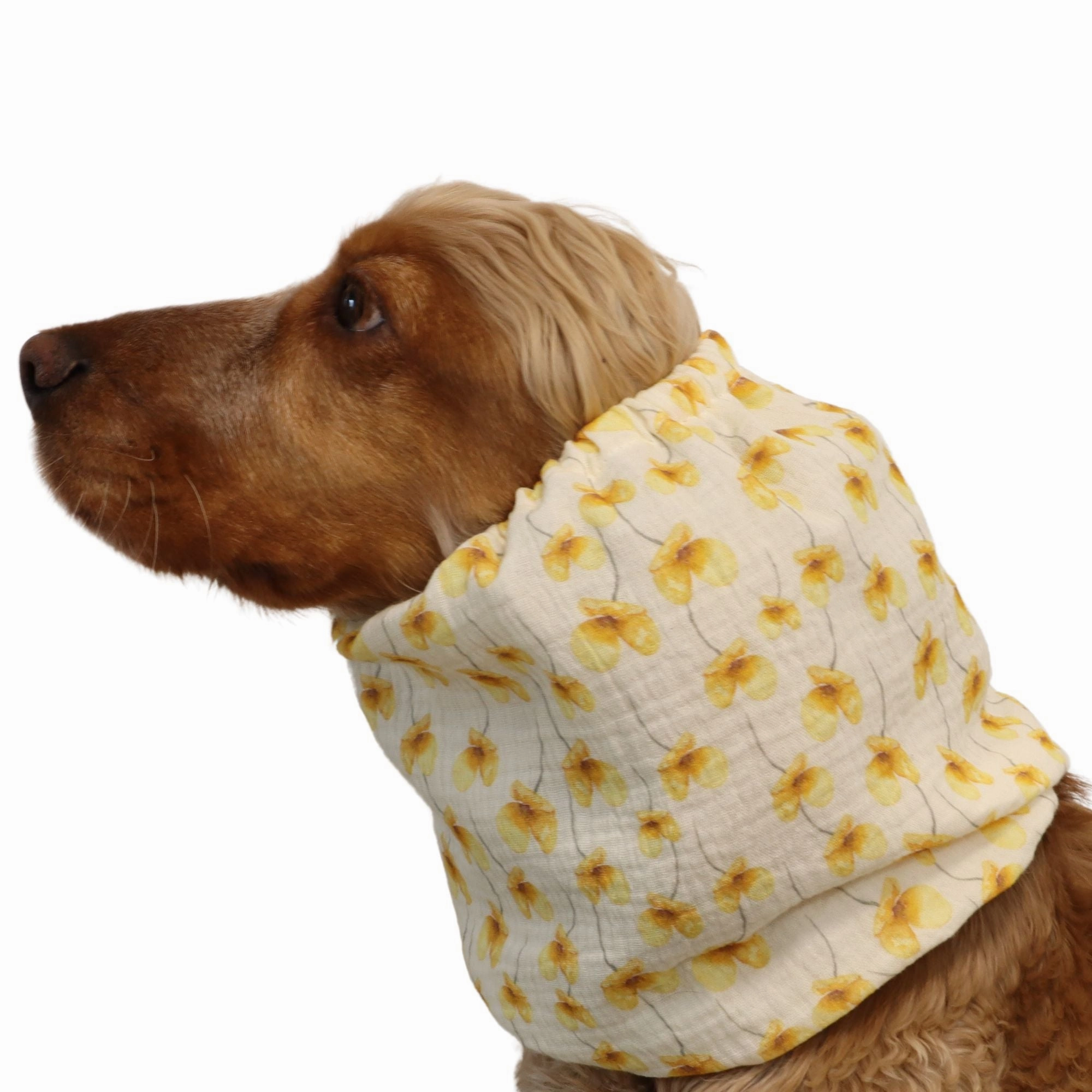 Cotton (Muslin) Dog Snood | Buttercup