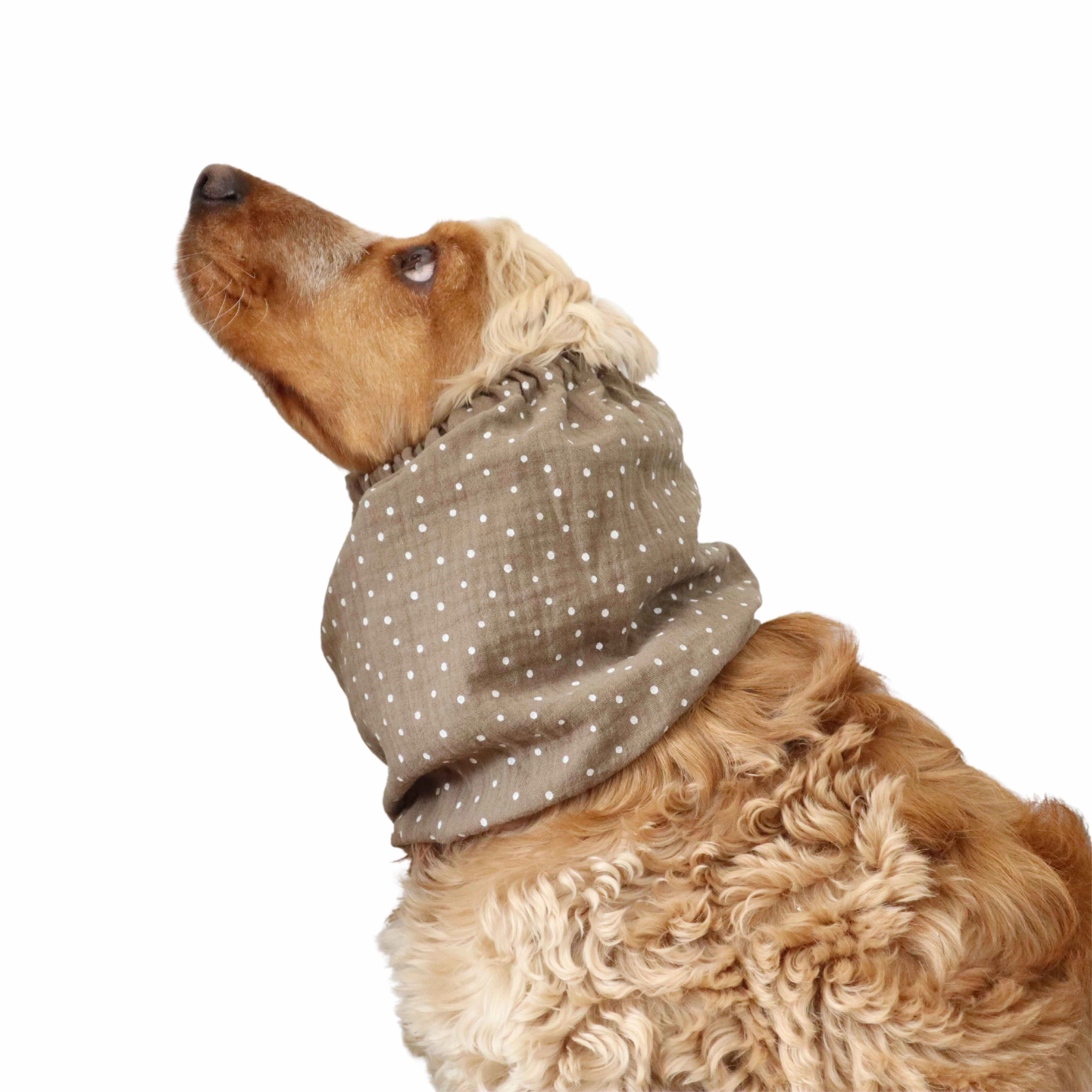 Cotton (Muslin) Dog Snood | Cacao Dots