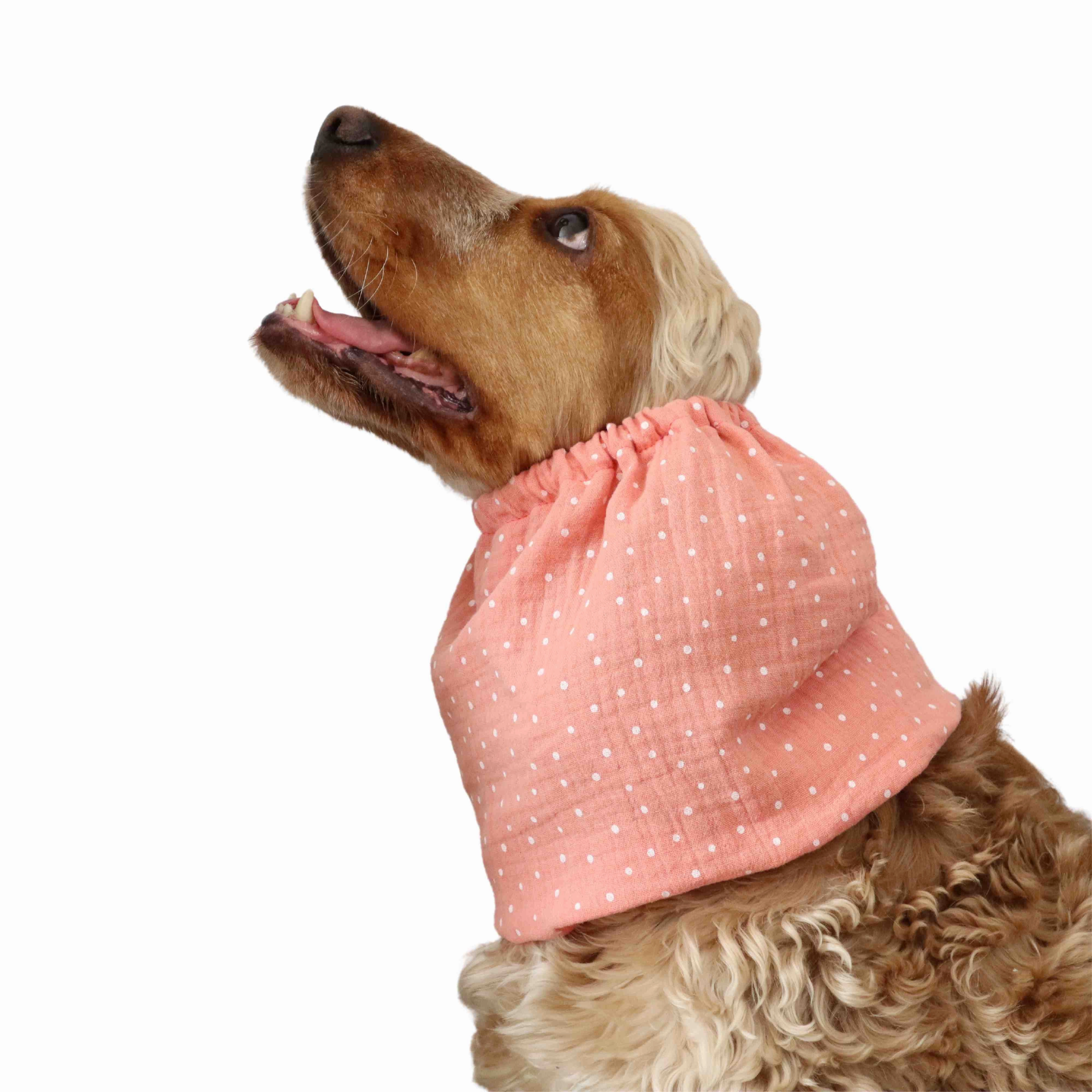 Cotton (Muslin) Dog Snood | Coral Dots