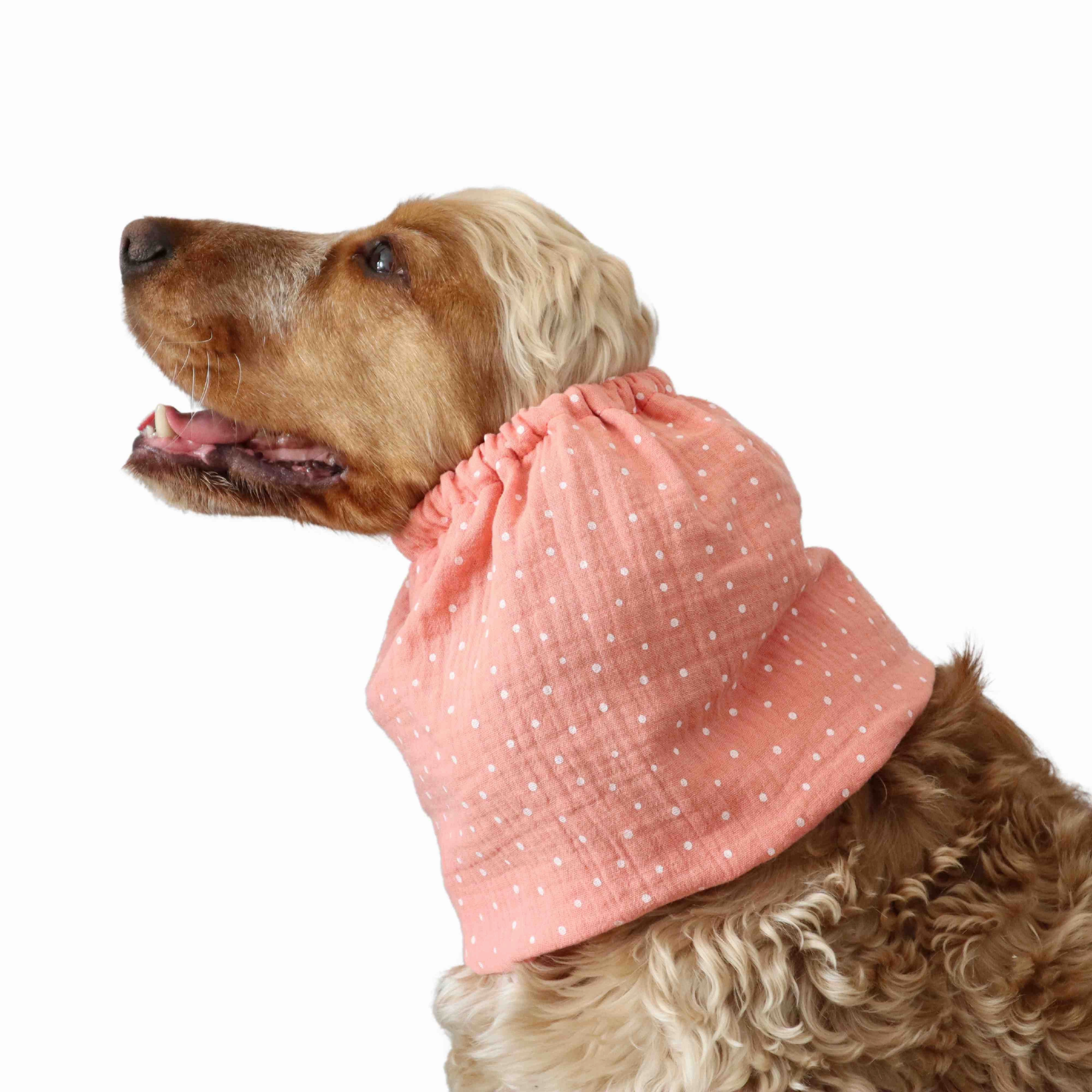 Cotton (Muslin) Dog Snood | Coral Dots
