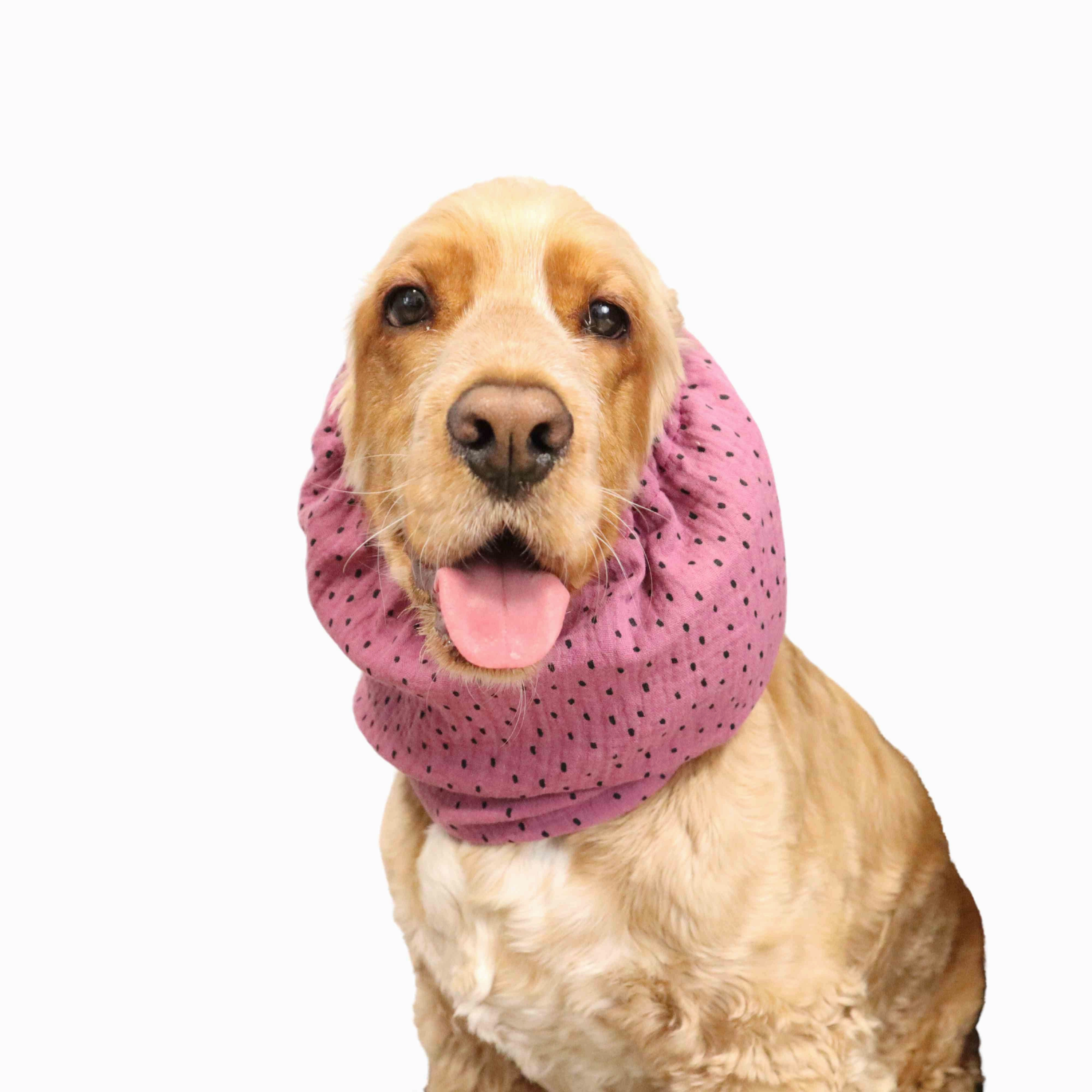 Cotton (Muslin) Dog Snood | Dots in Ash Pink