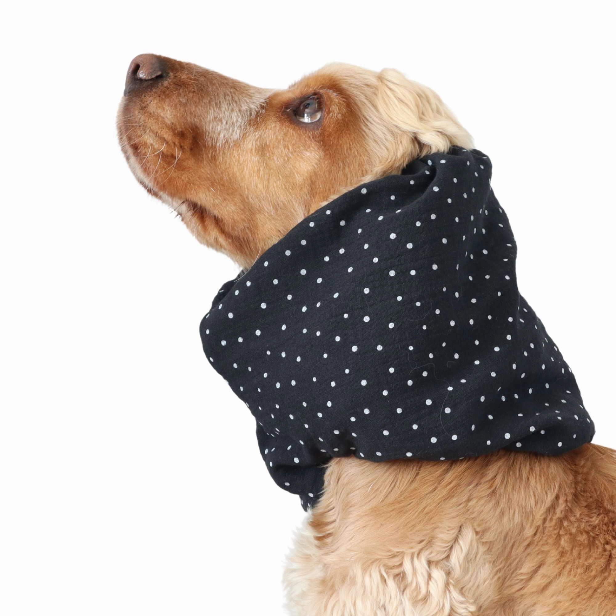 Cotton (Muslin) Dog Snood | Dots in Black