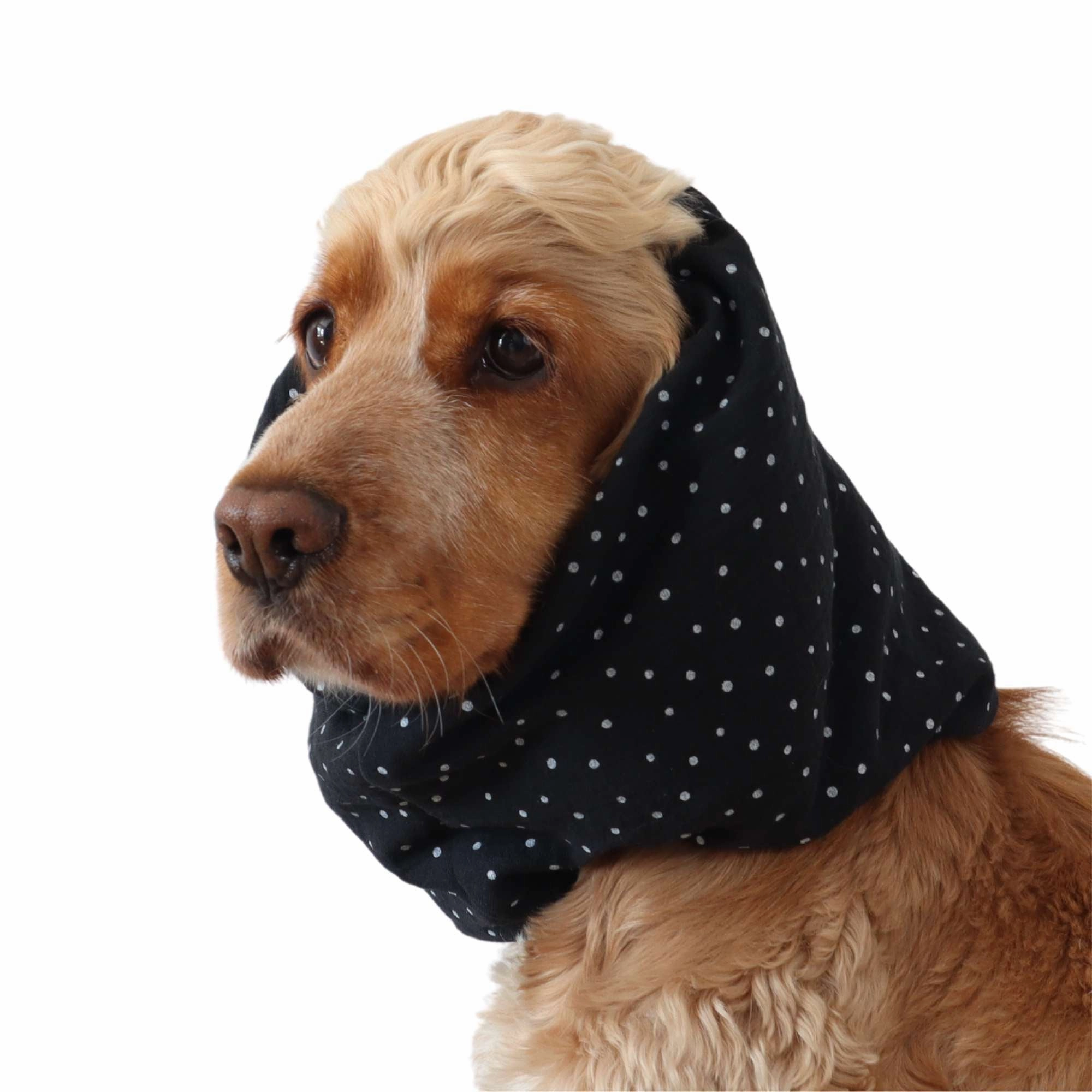 Cotton (Muslin) Dog Snood | Dots in Black