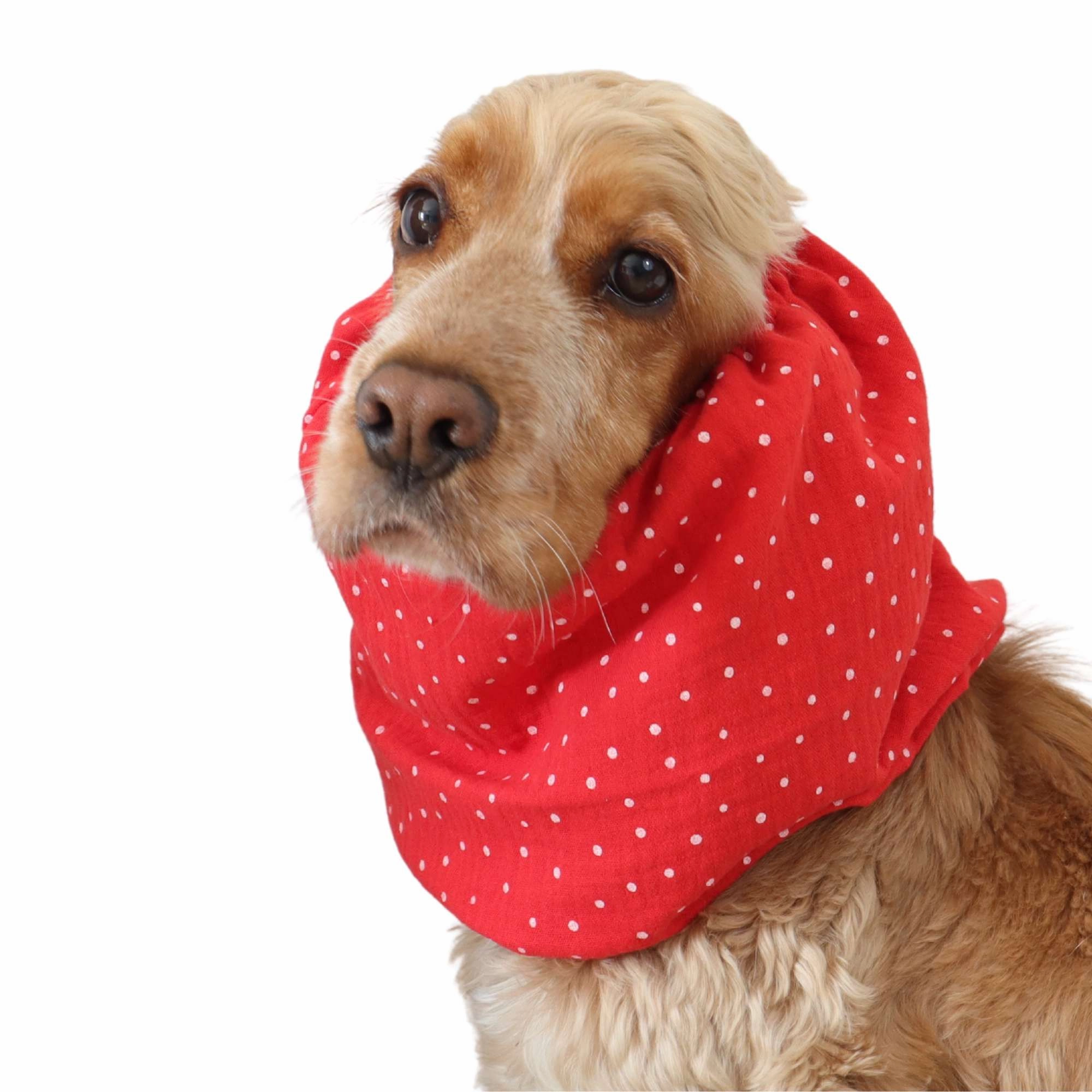 Cotton (Muslin) Dog Snood | Dots in Red