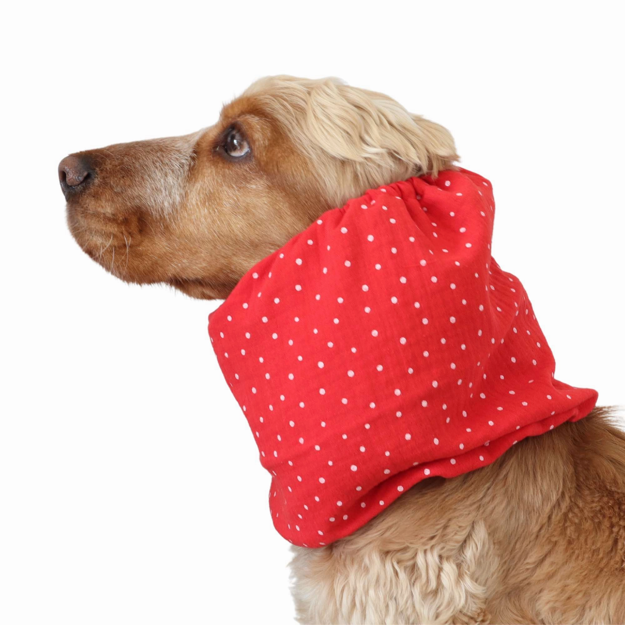 Cotton (Muslin) Dog Snood | Dots in Red