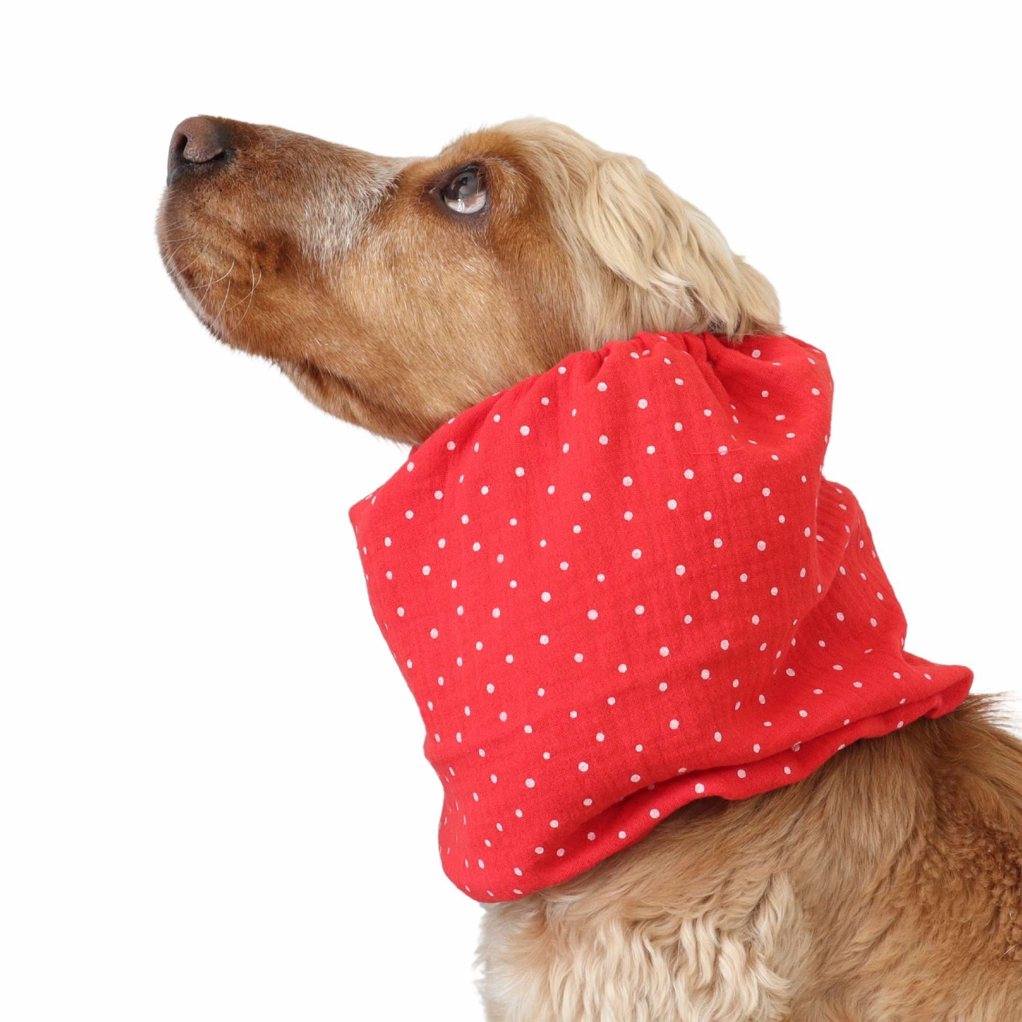 Cotton (Muslin) Dog Snood | Dots in Red
