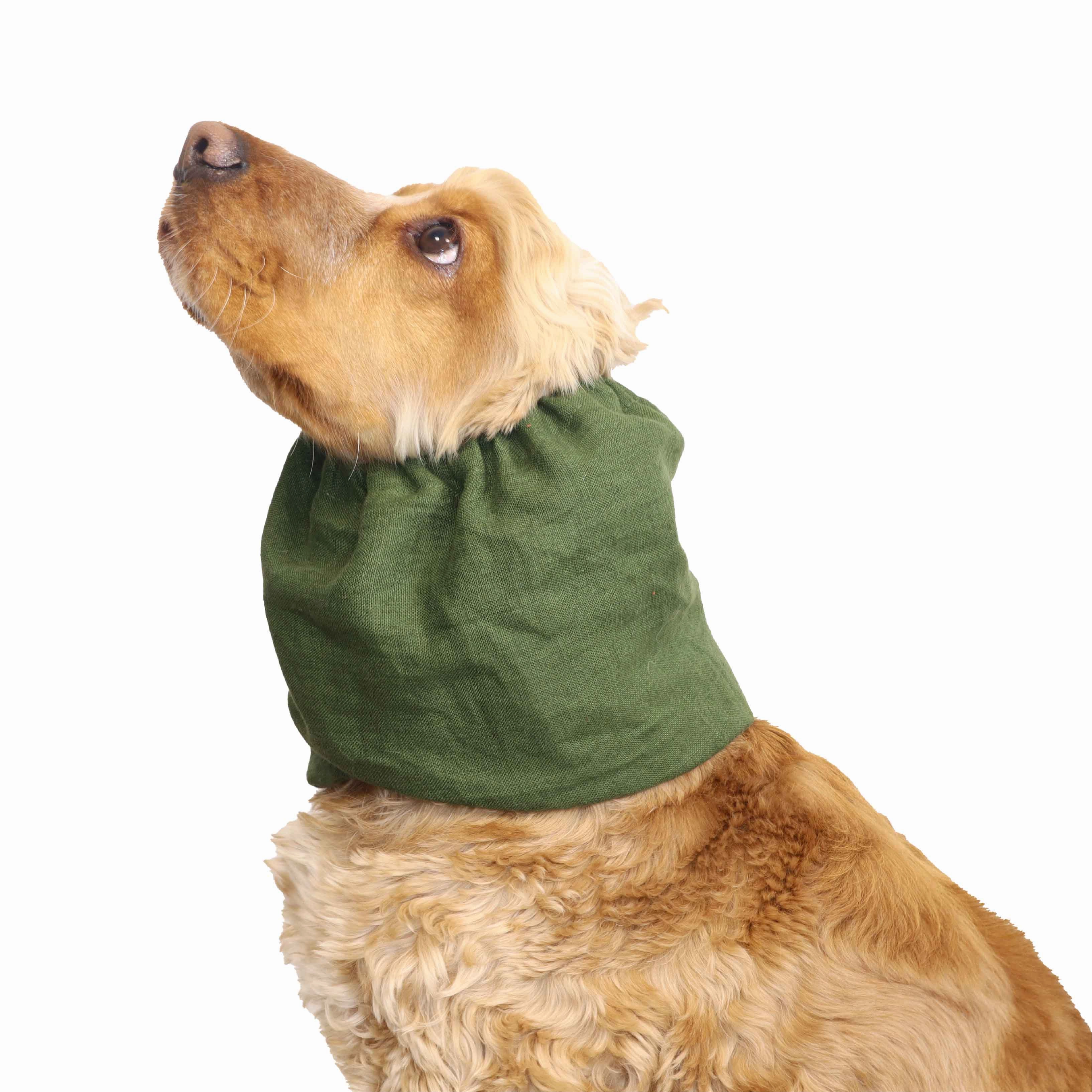 Cotton (Muslin) Dog Snood | Forest Green