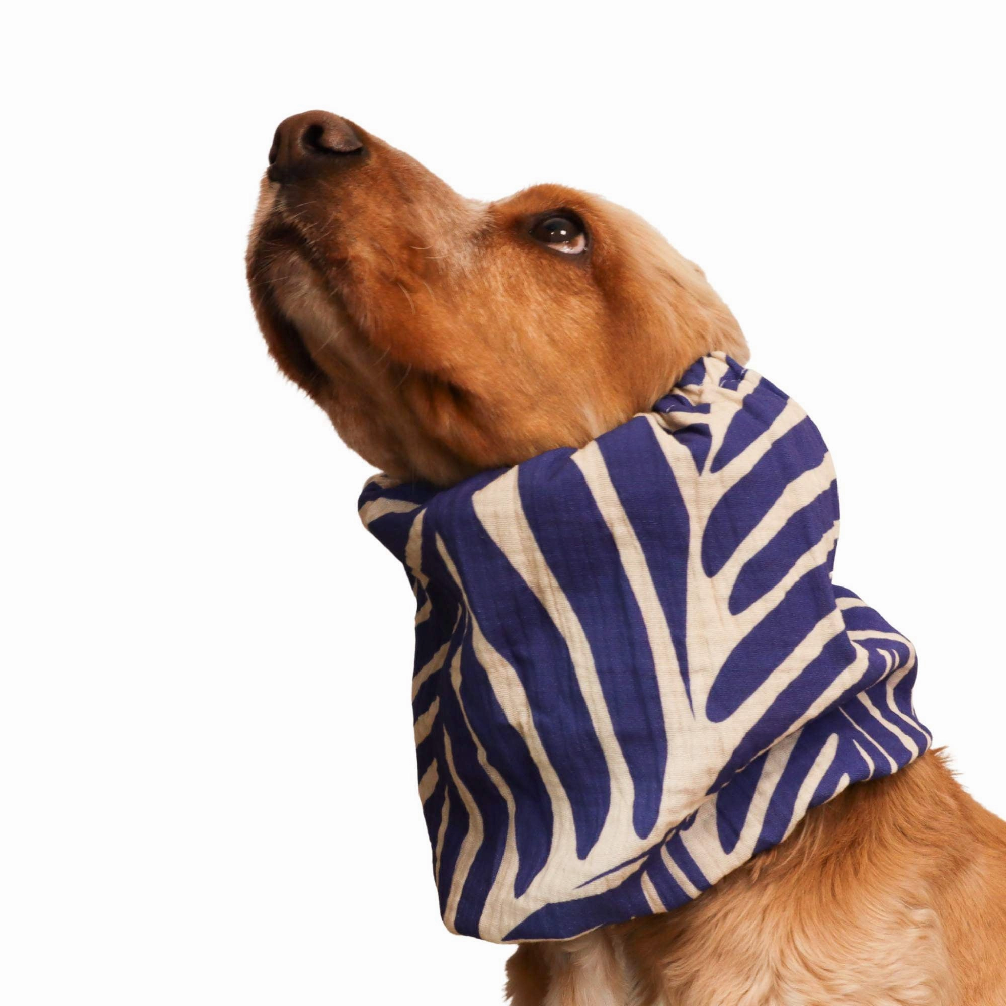 Cotton (Muslin) Dog Snood | Indigo Leaf