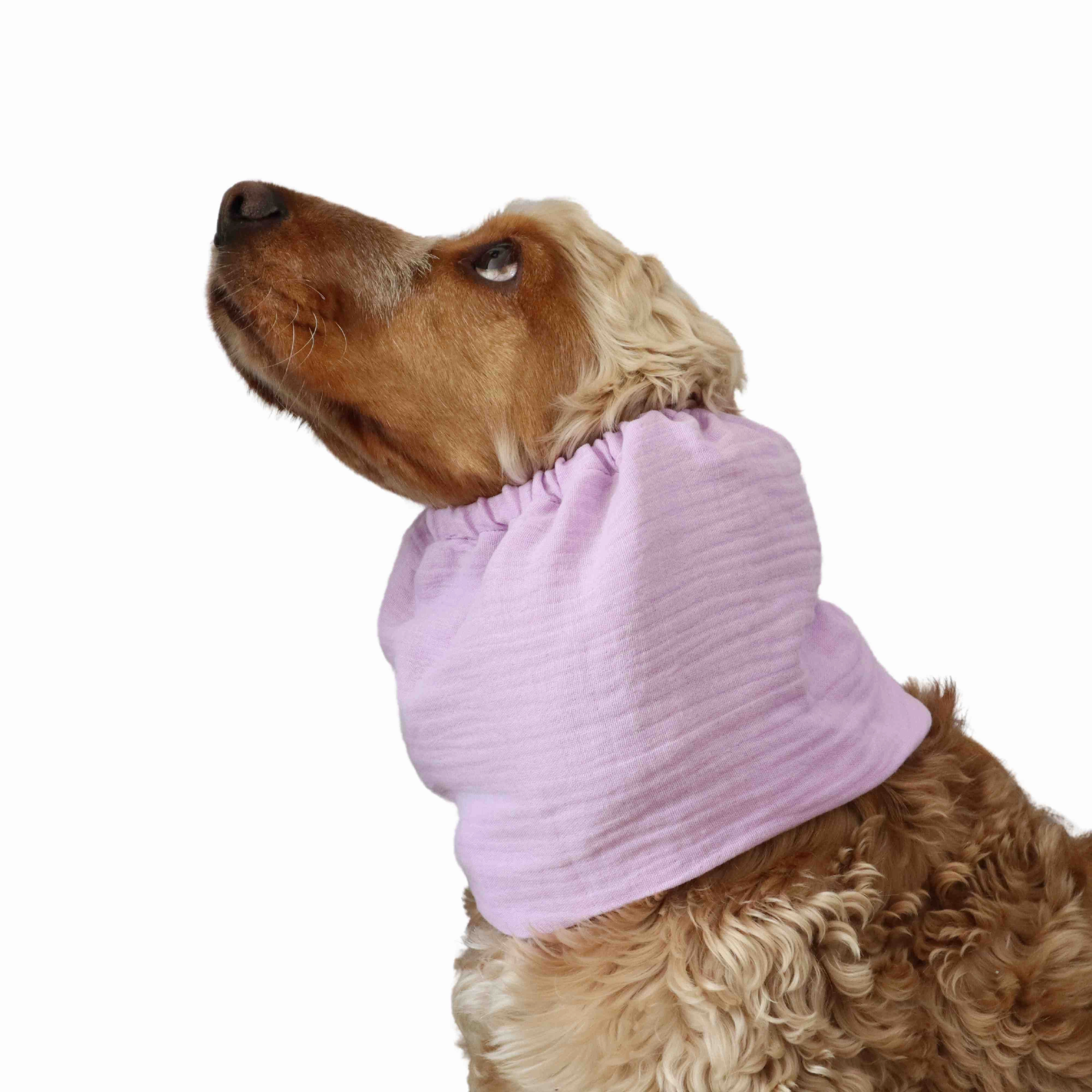 Cotton (Muslin) Dog Snood | Lavender