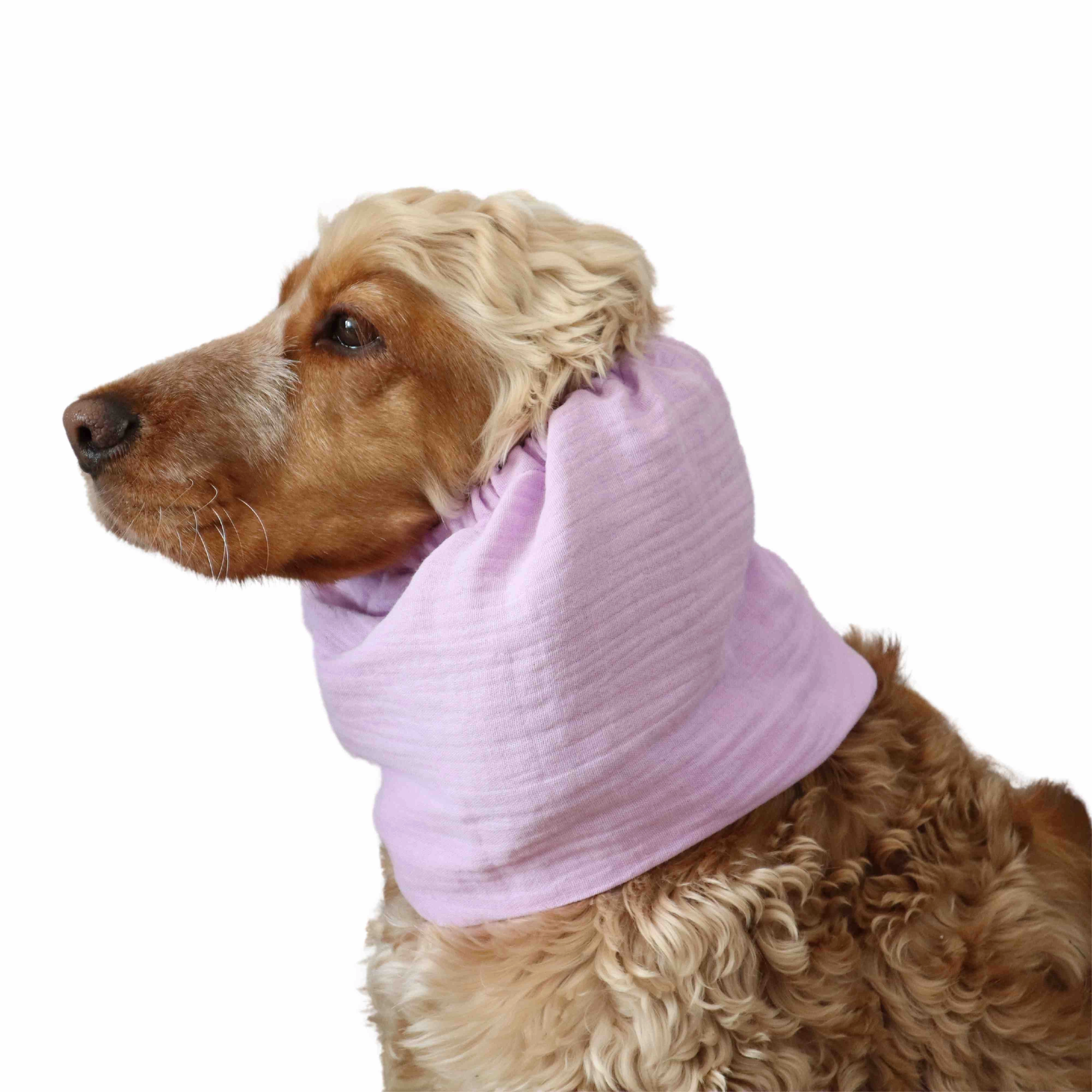 Cotton (Muslin) Dog Snood | Lavender