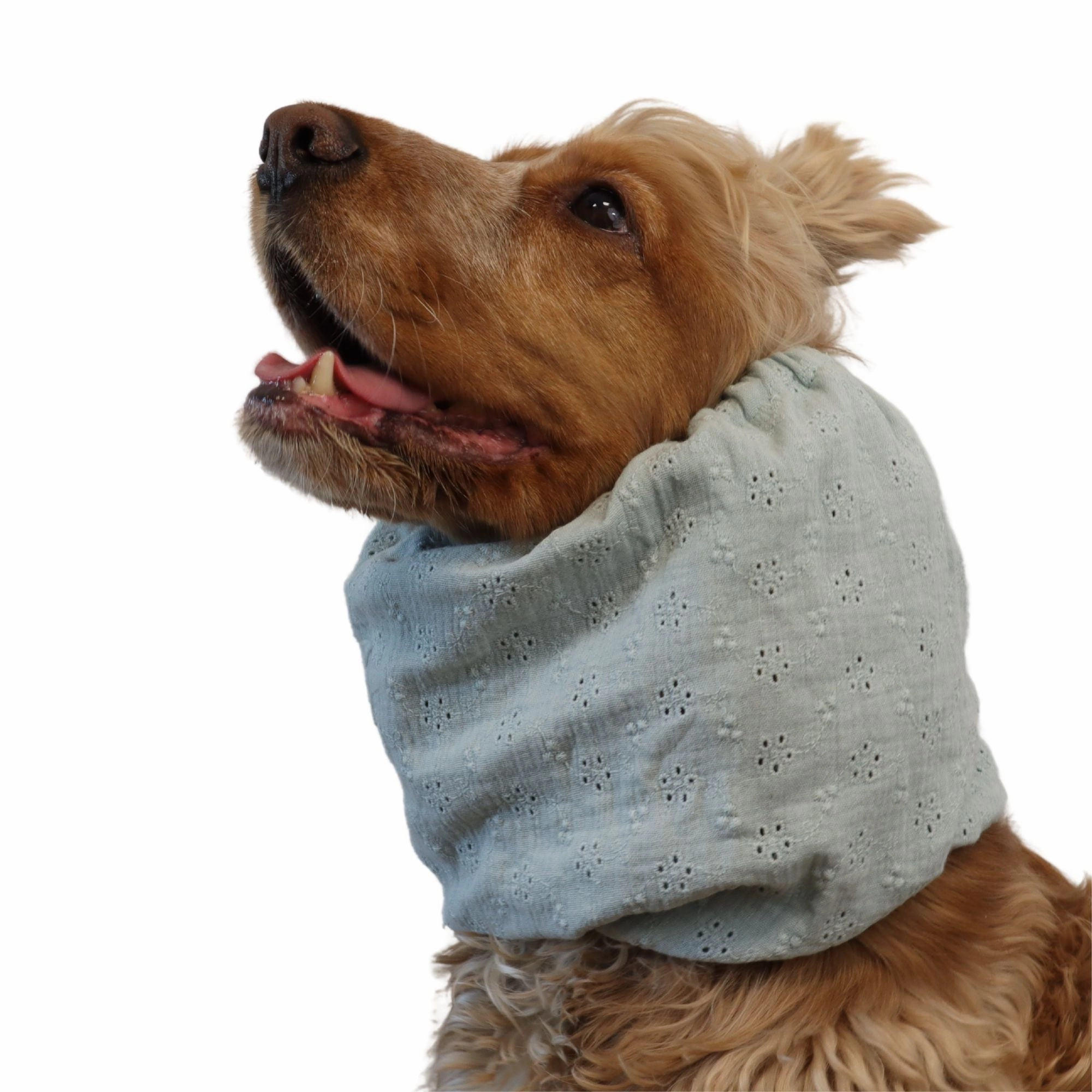 Cotton (Muslin) Dog Snood | Mint