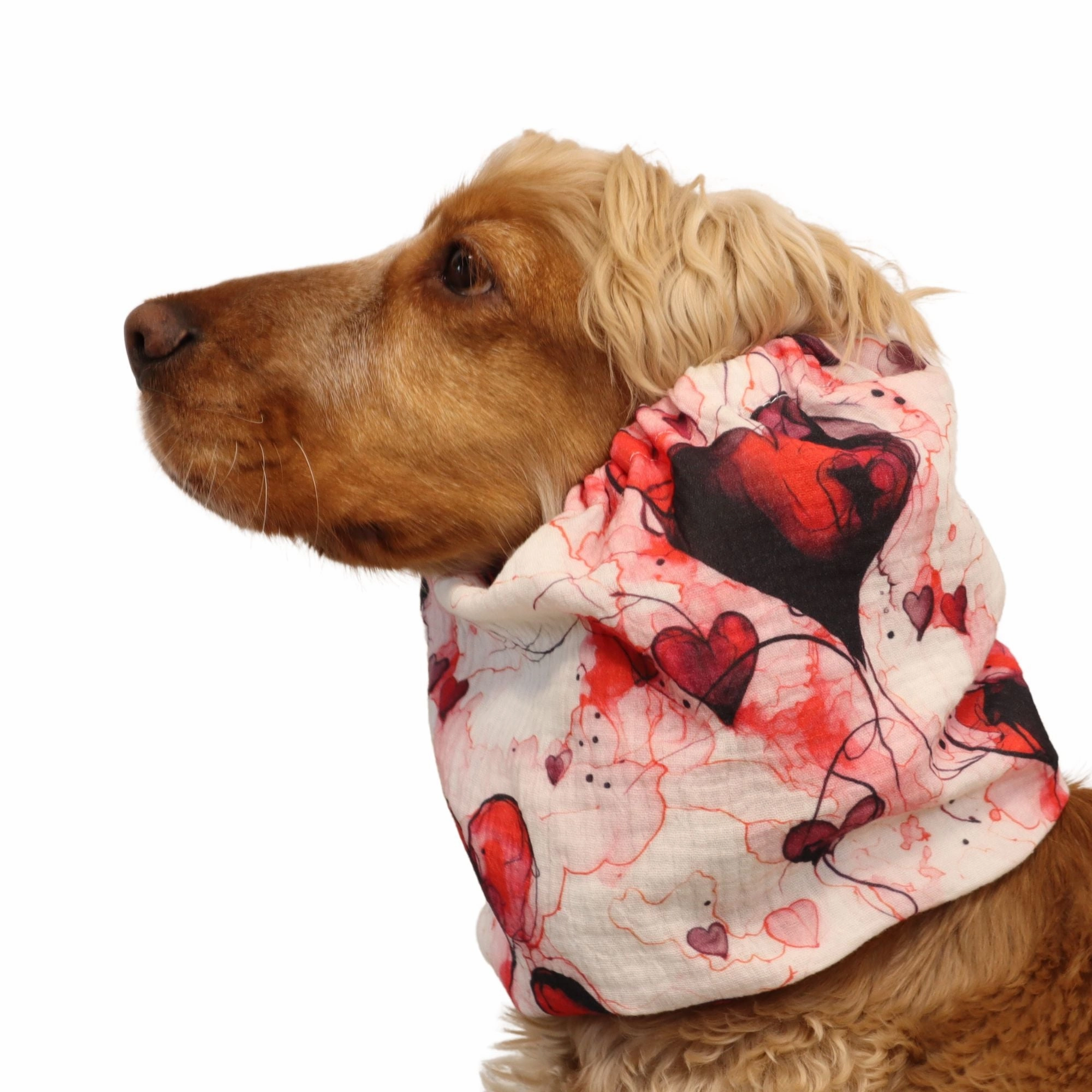 Cotton (Muslin) Dog Snood | My Valentine
