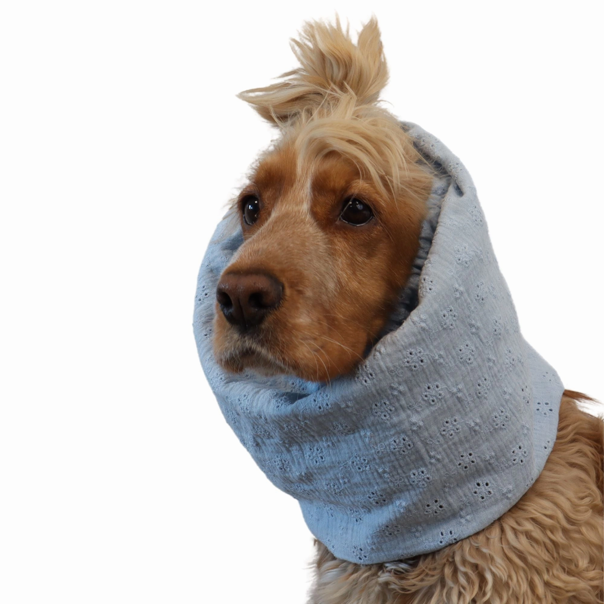 Cotton (Muslin) Dog Snood | Pastel Blue